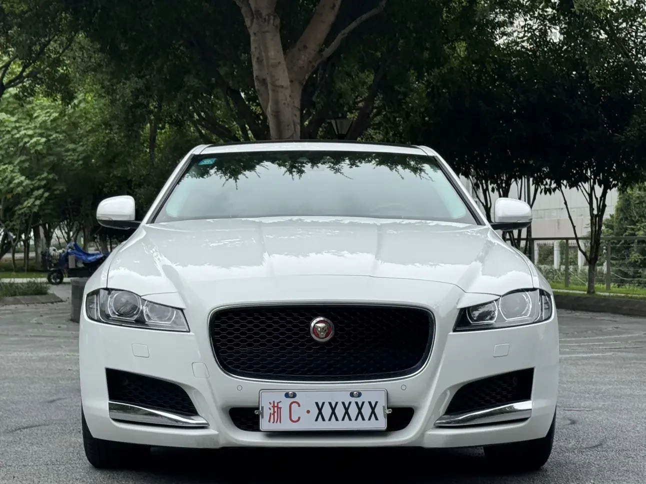 Jaguar XFL