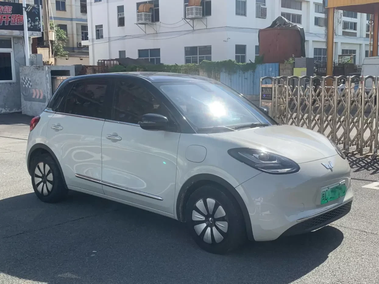 Wuling Bingo