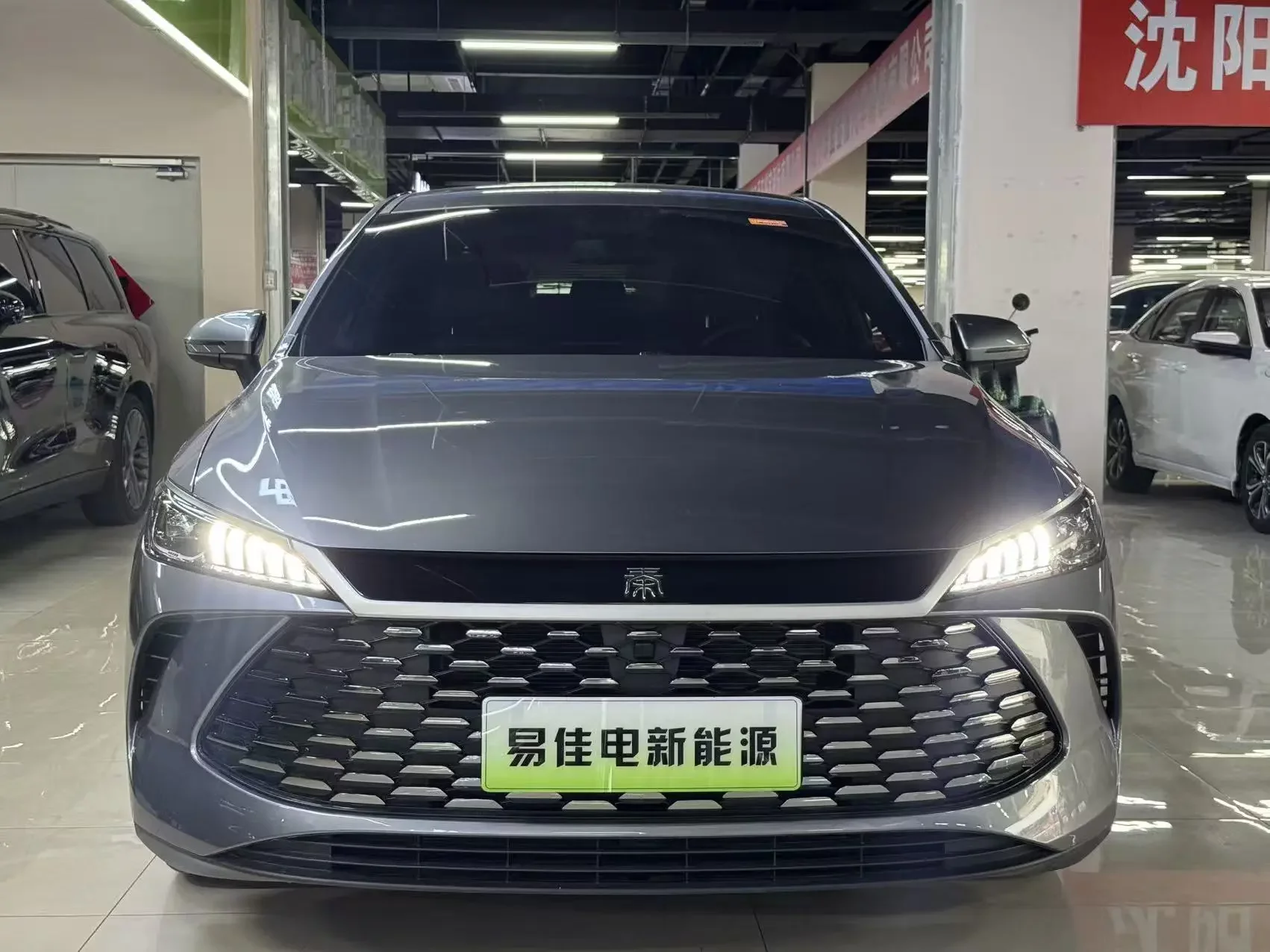 BYD Qin PLUS DM