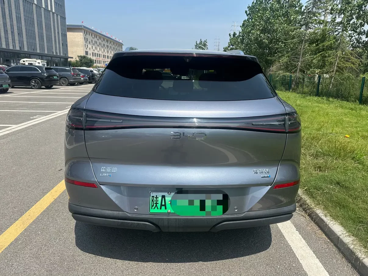 BYD Sea Lion 06DM