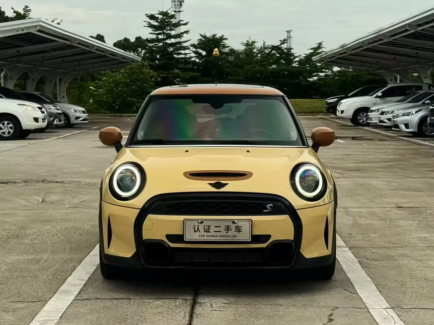 MINI 