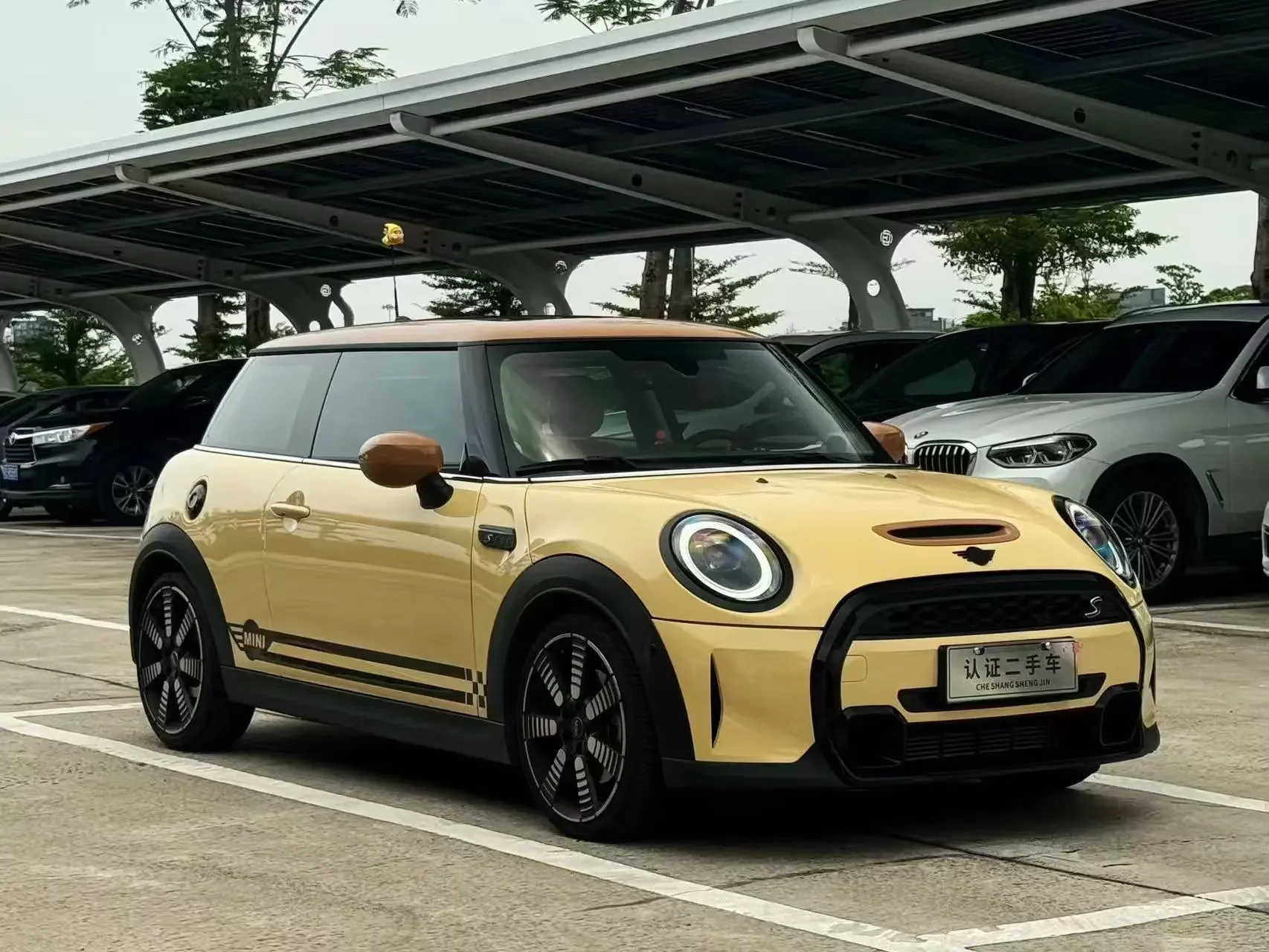 MINI 