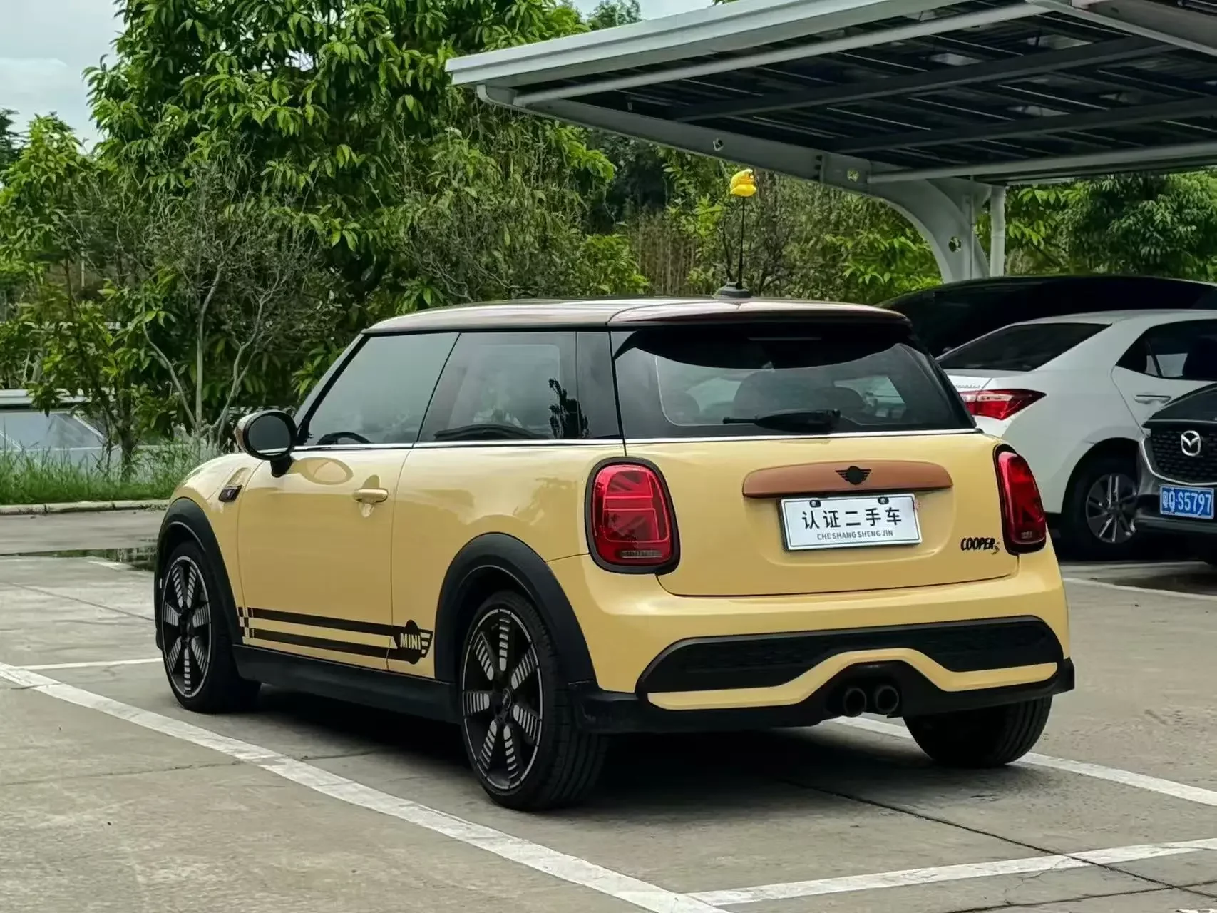 MINI 