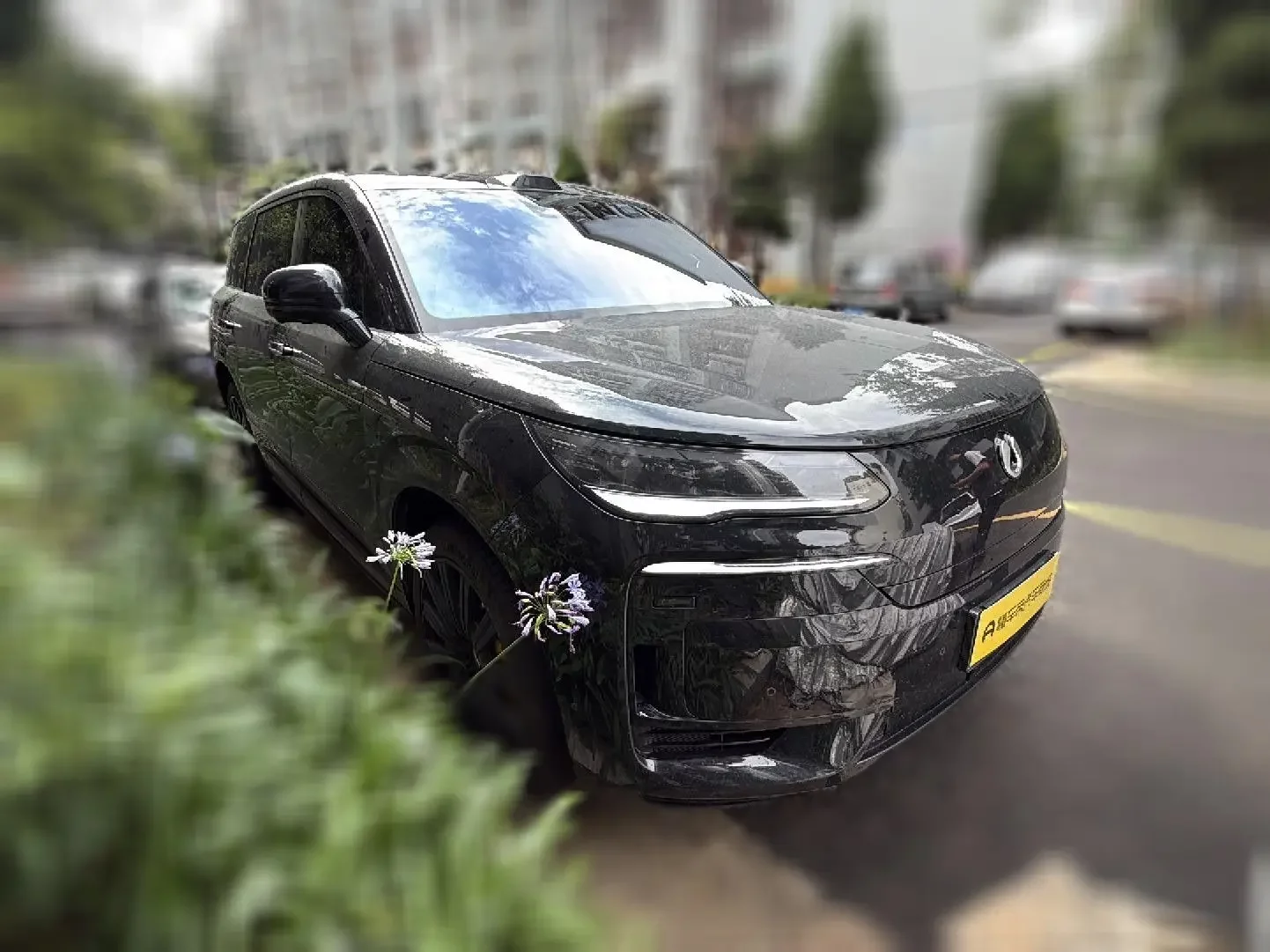 Denza Tengzhong N9 DM