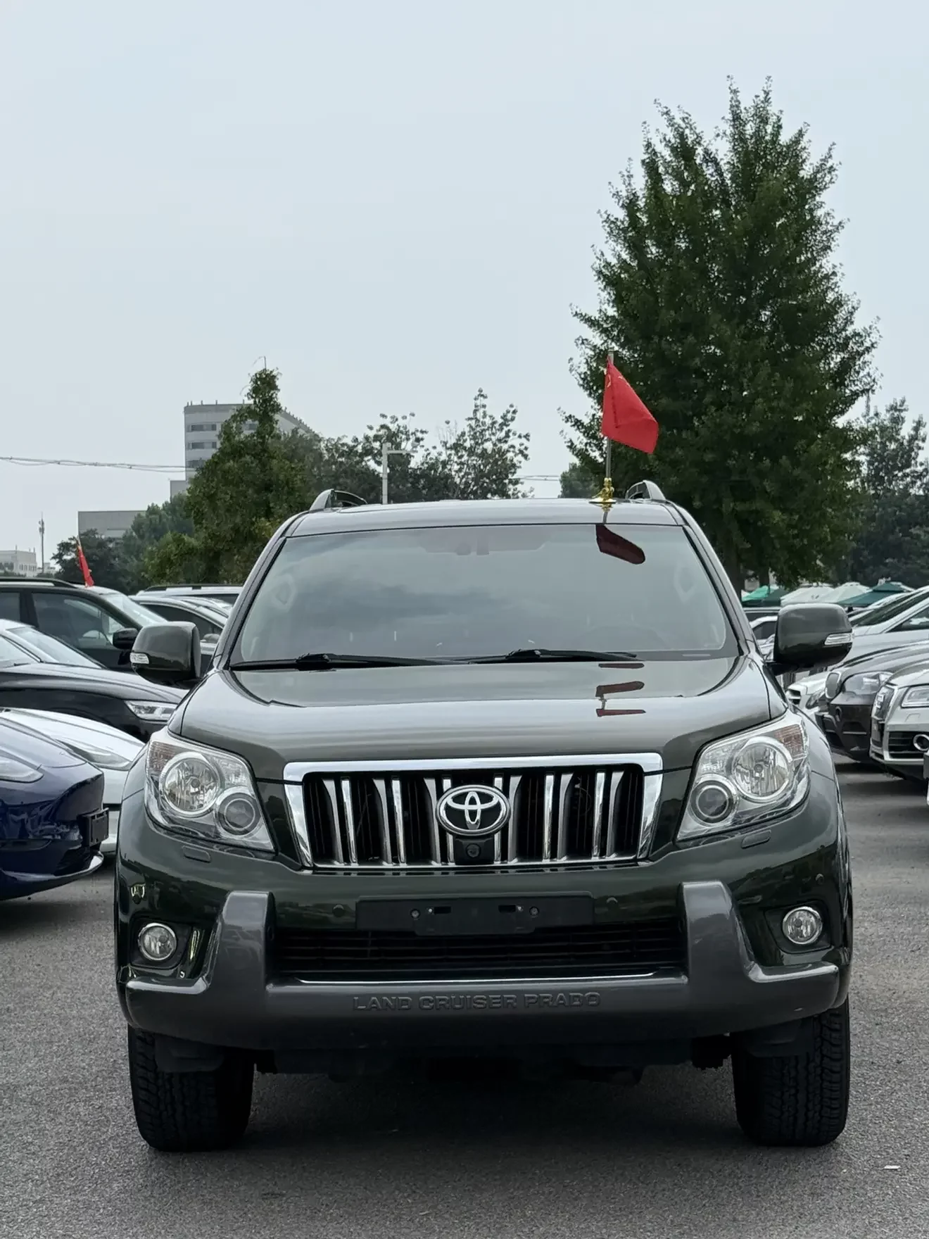 Toyota prado