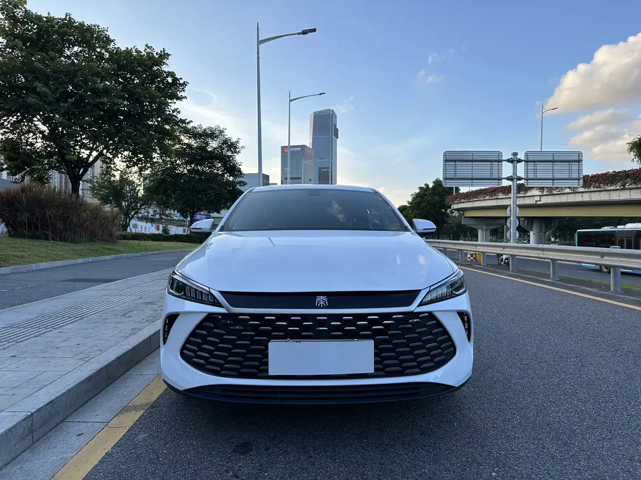 BYD Qin PLUS DM