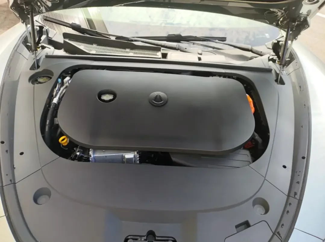 Denza DENGZH9GT DM
