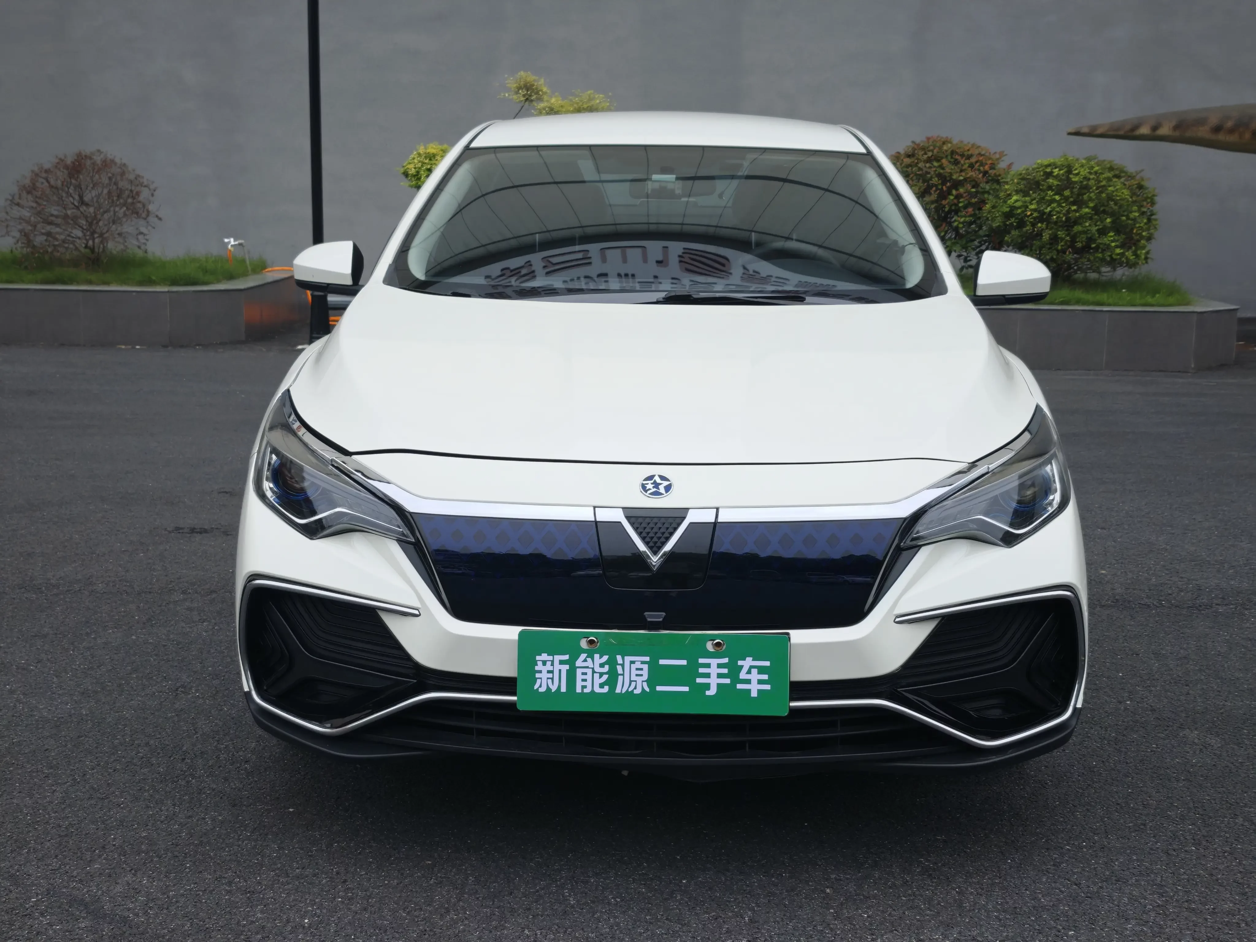 Kai Chen Venucia D60 EV