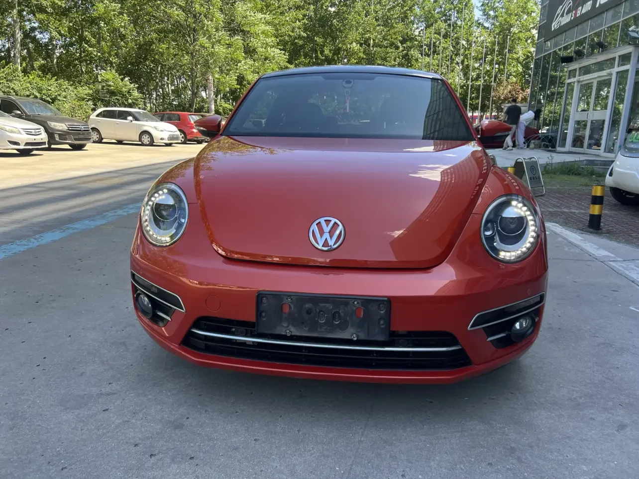 Volkswagen Beetle