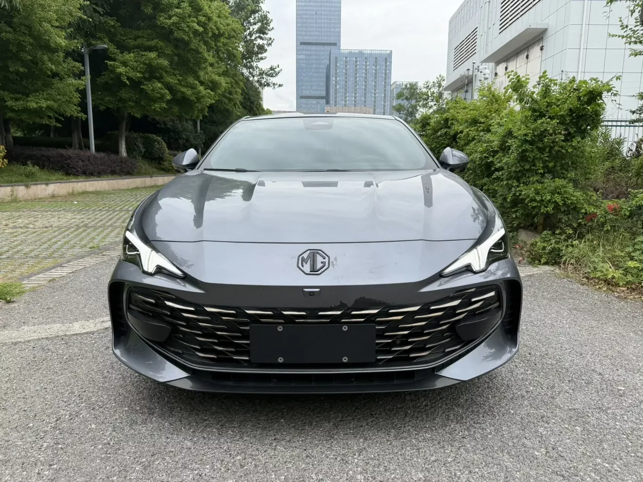 MG 7