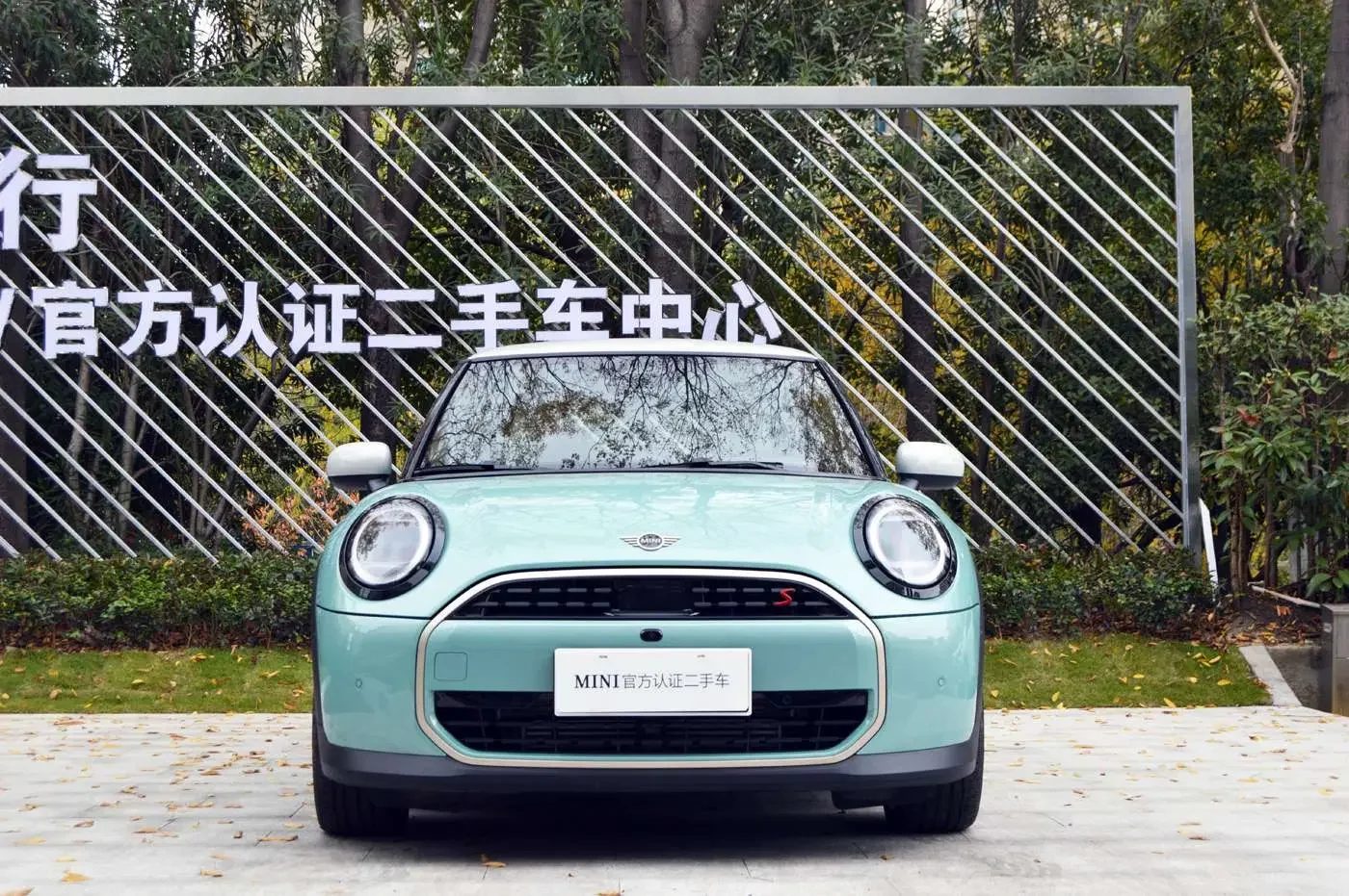 MINI 