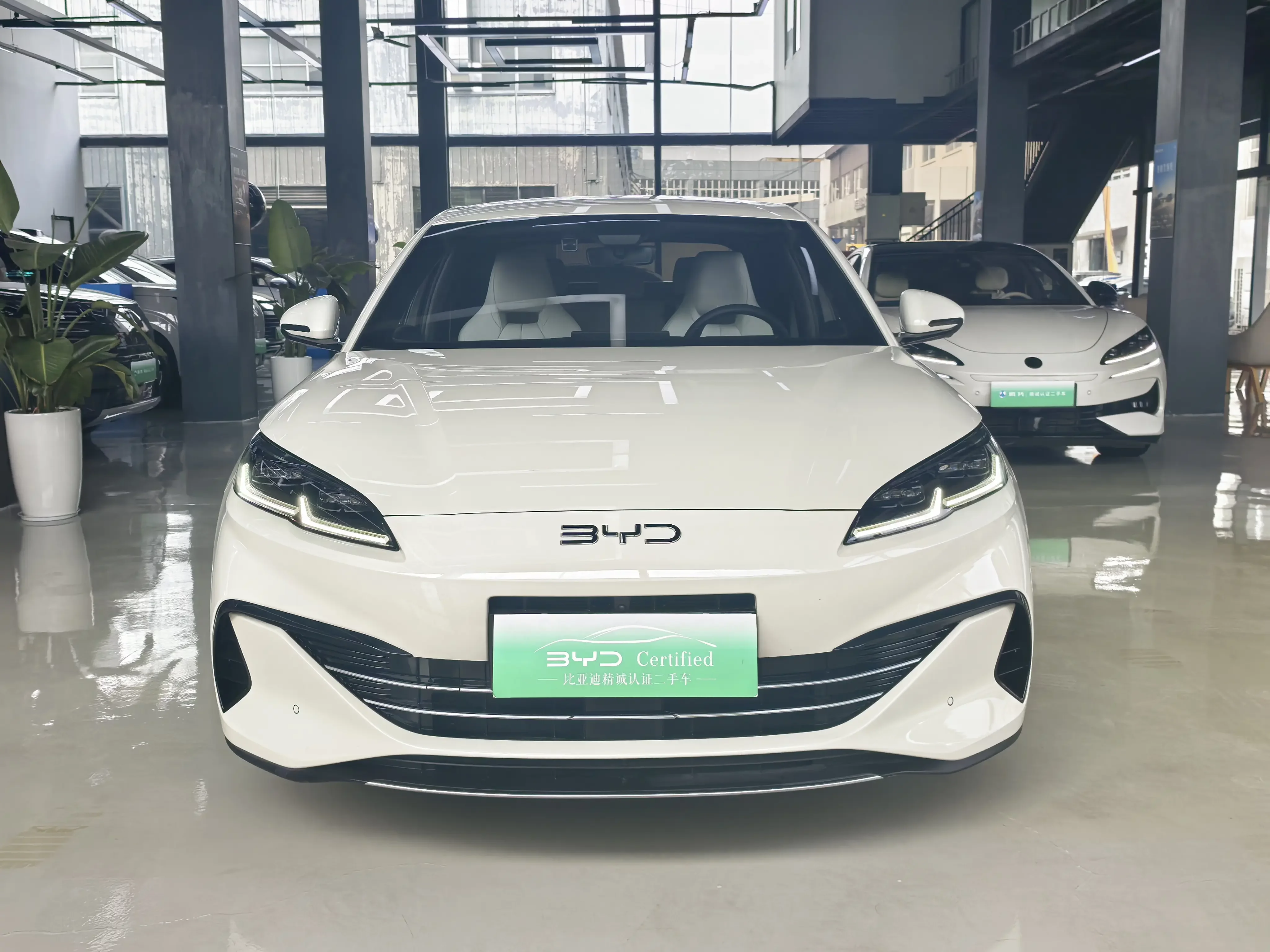 BYD Seal 06DM