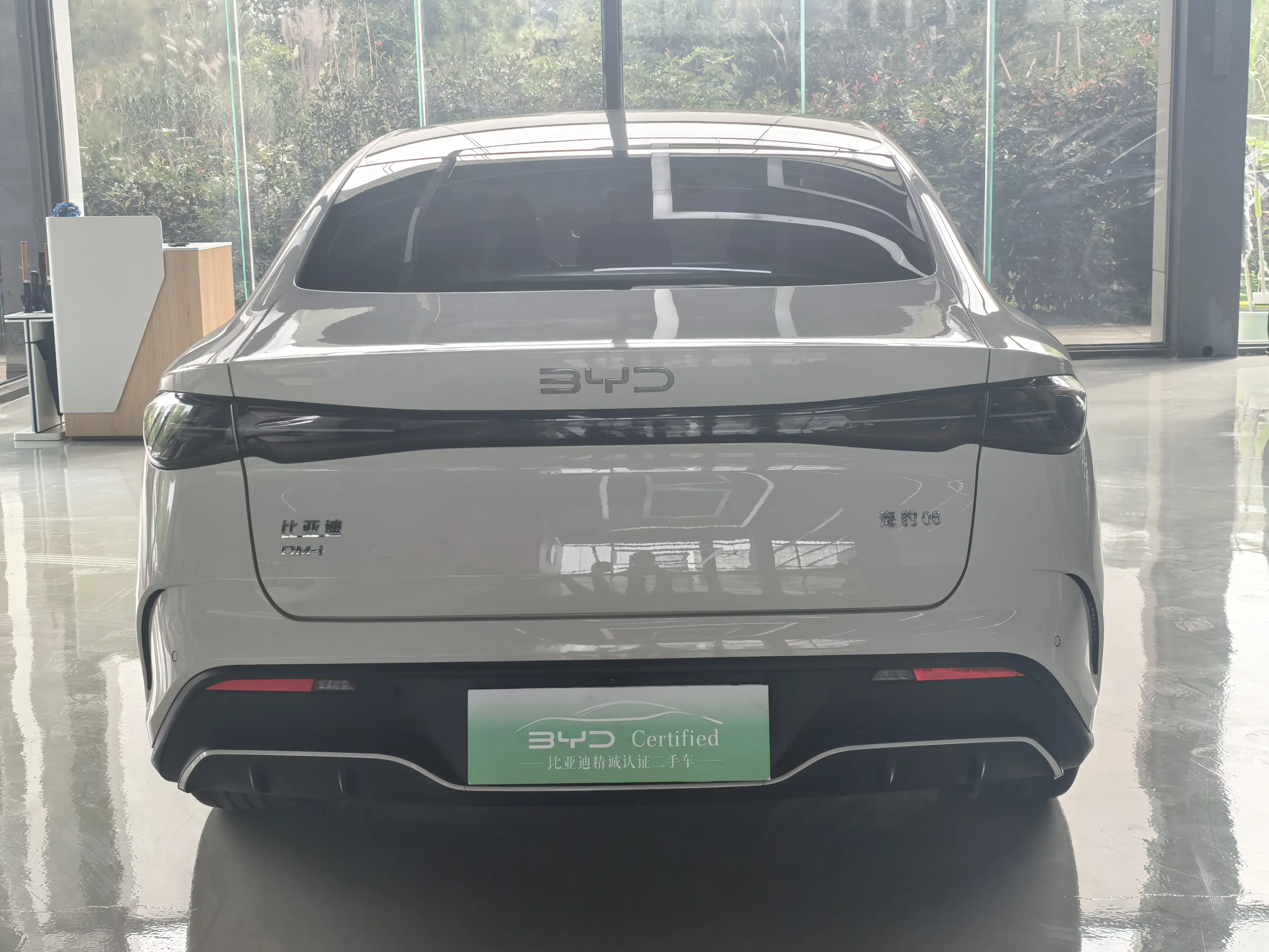 BYD Seal 06DM