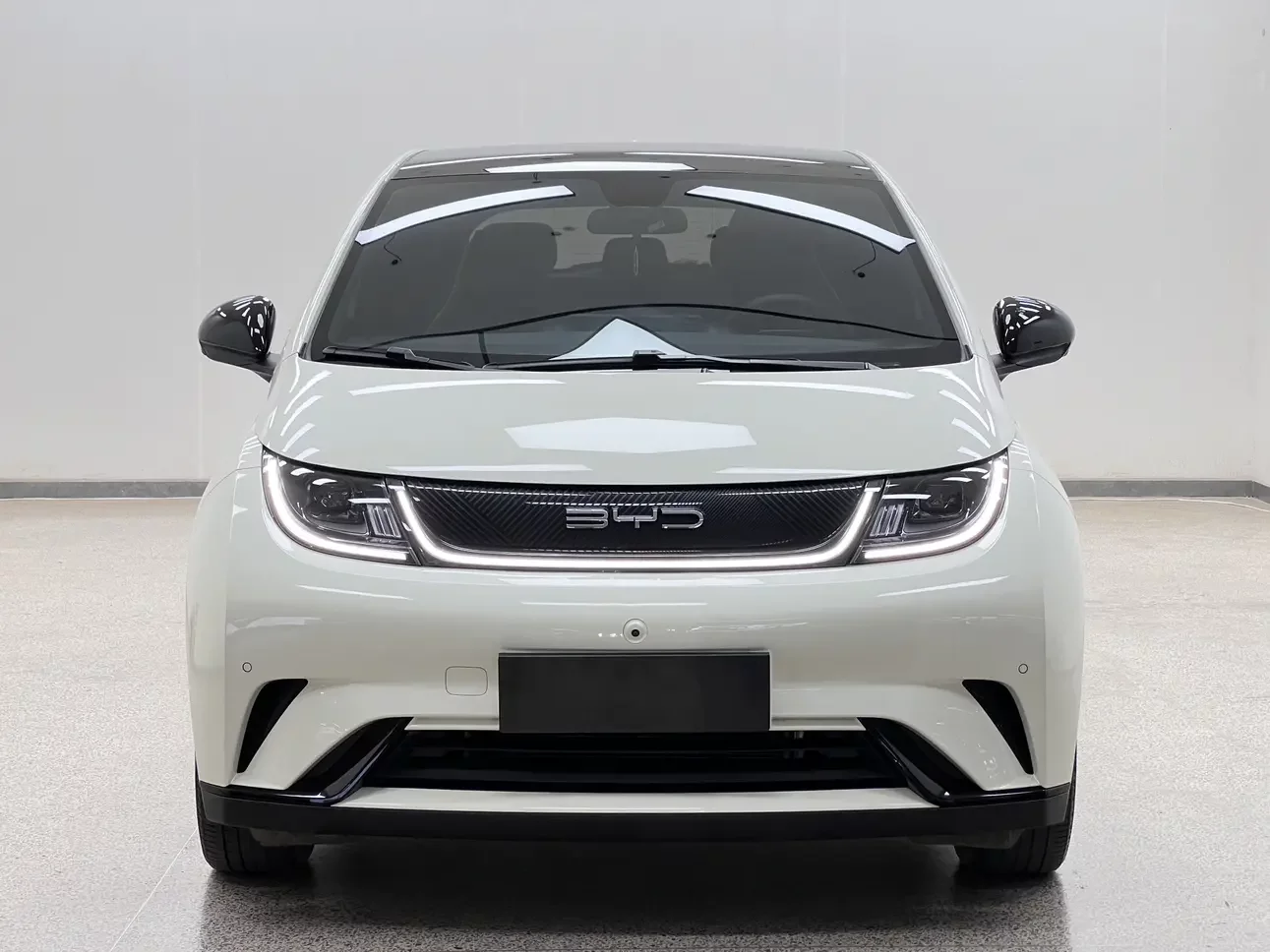 BYD dolphin