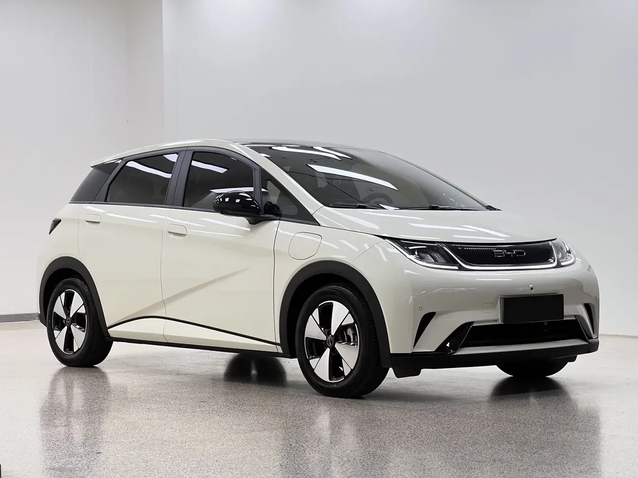 BYD dolphin