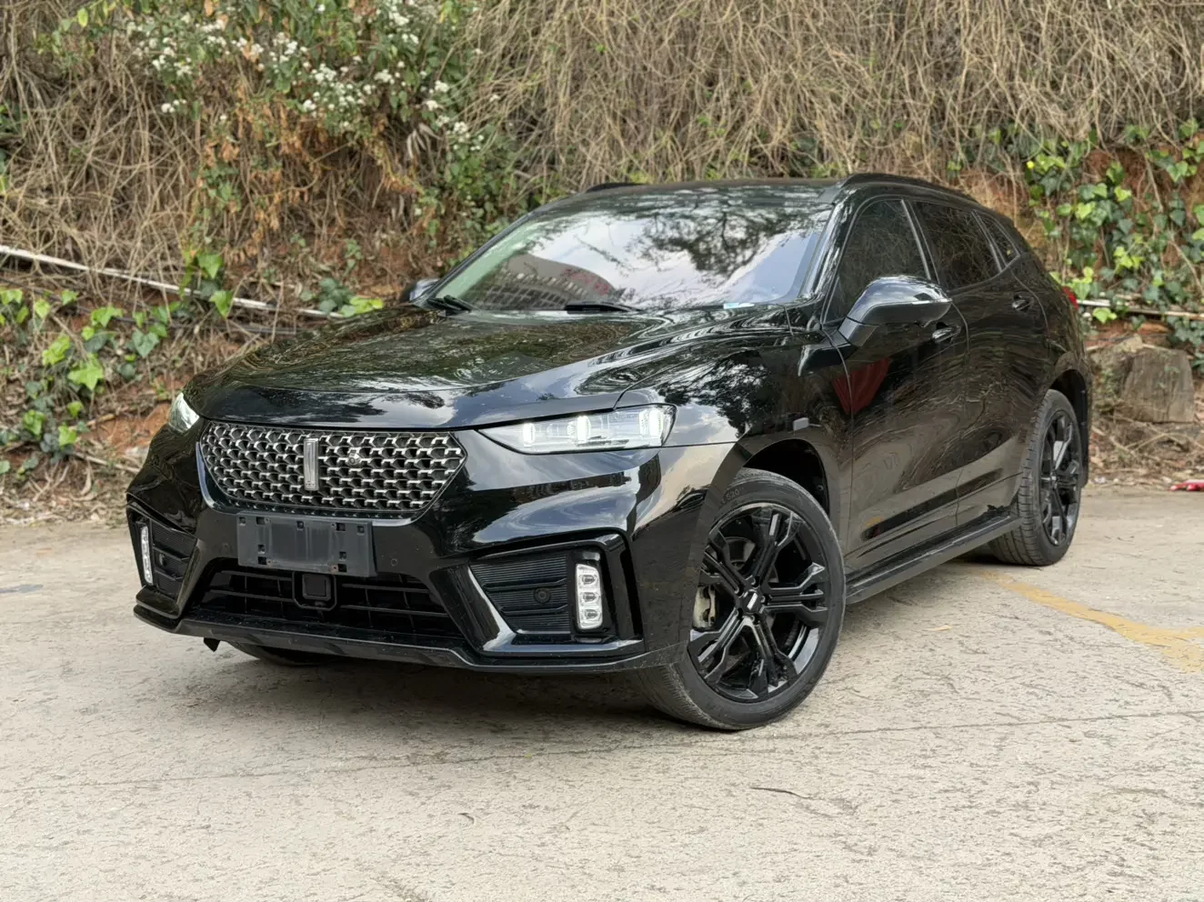 Wey Wei brand VV7