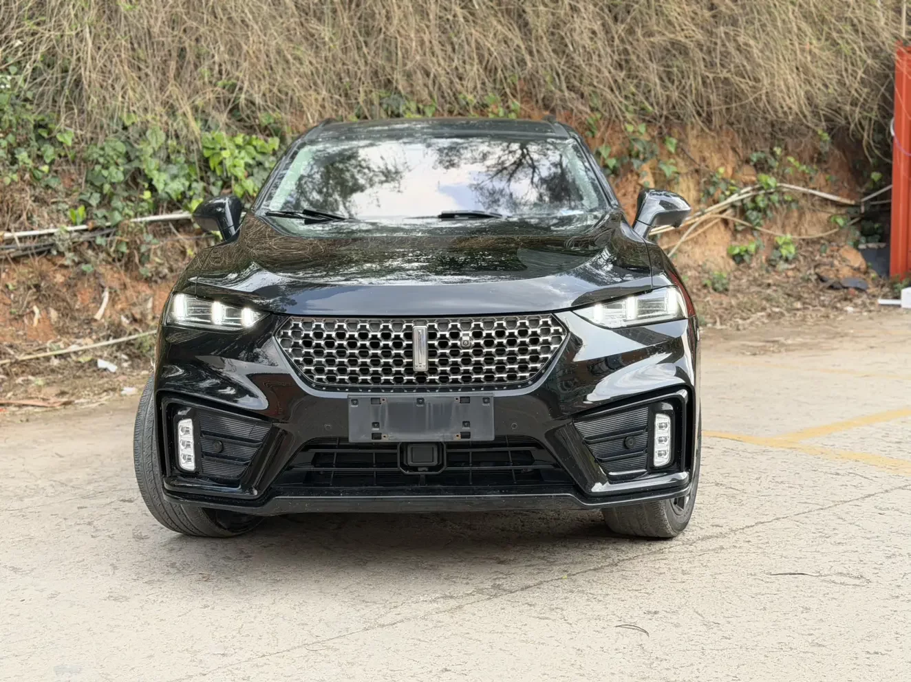 Wey Wei brand VV7