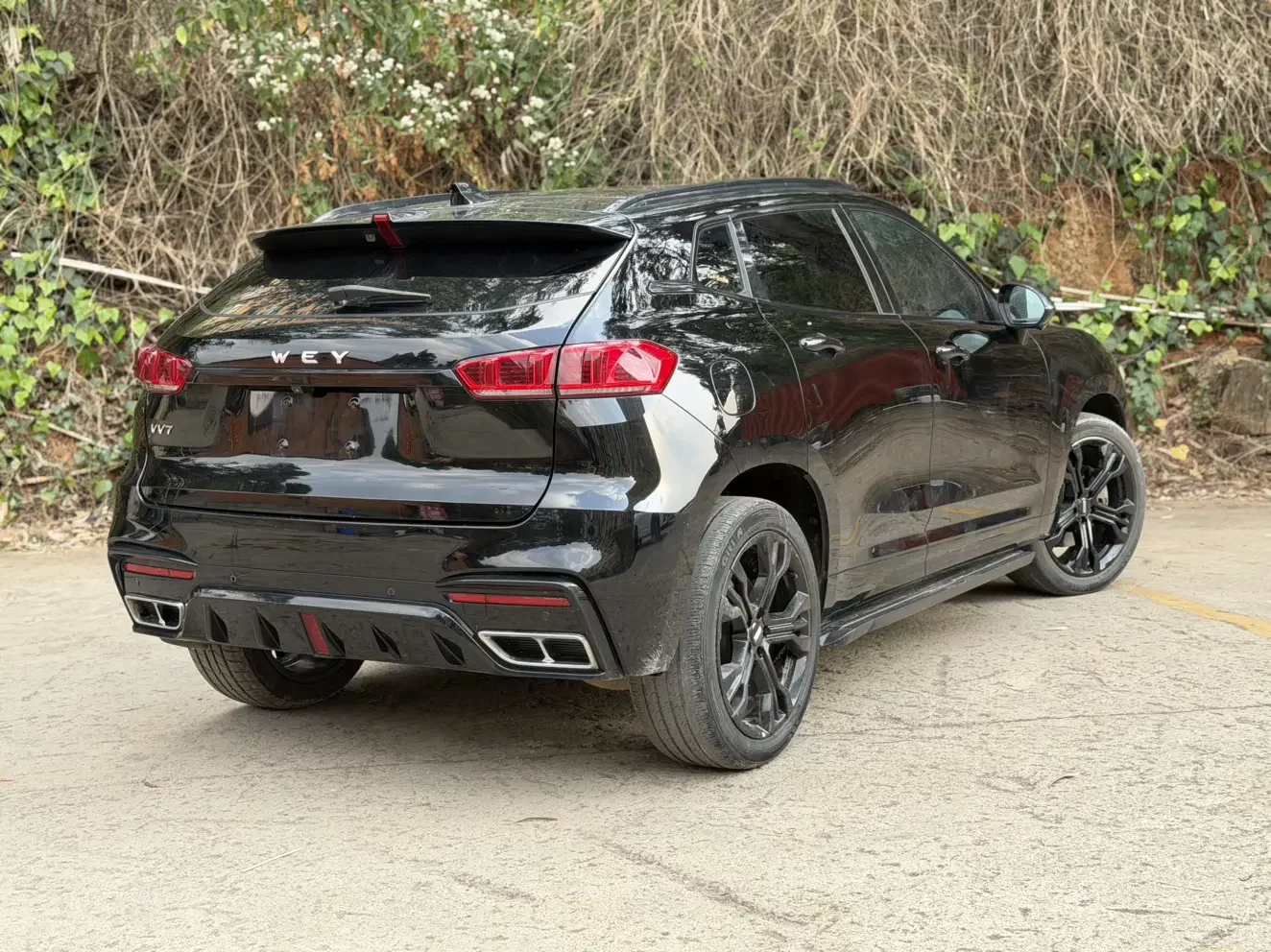 Wey Wei brand VV7