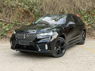 Wey Wei brand VV7
