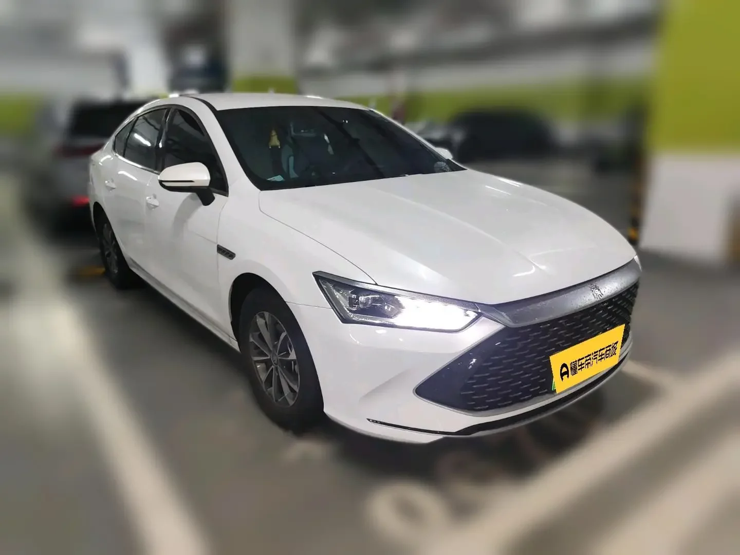 BYD Qin PLUS DM