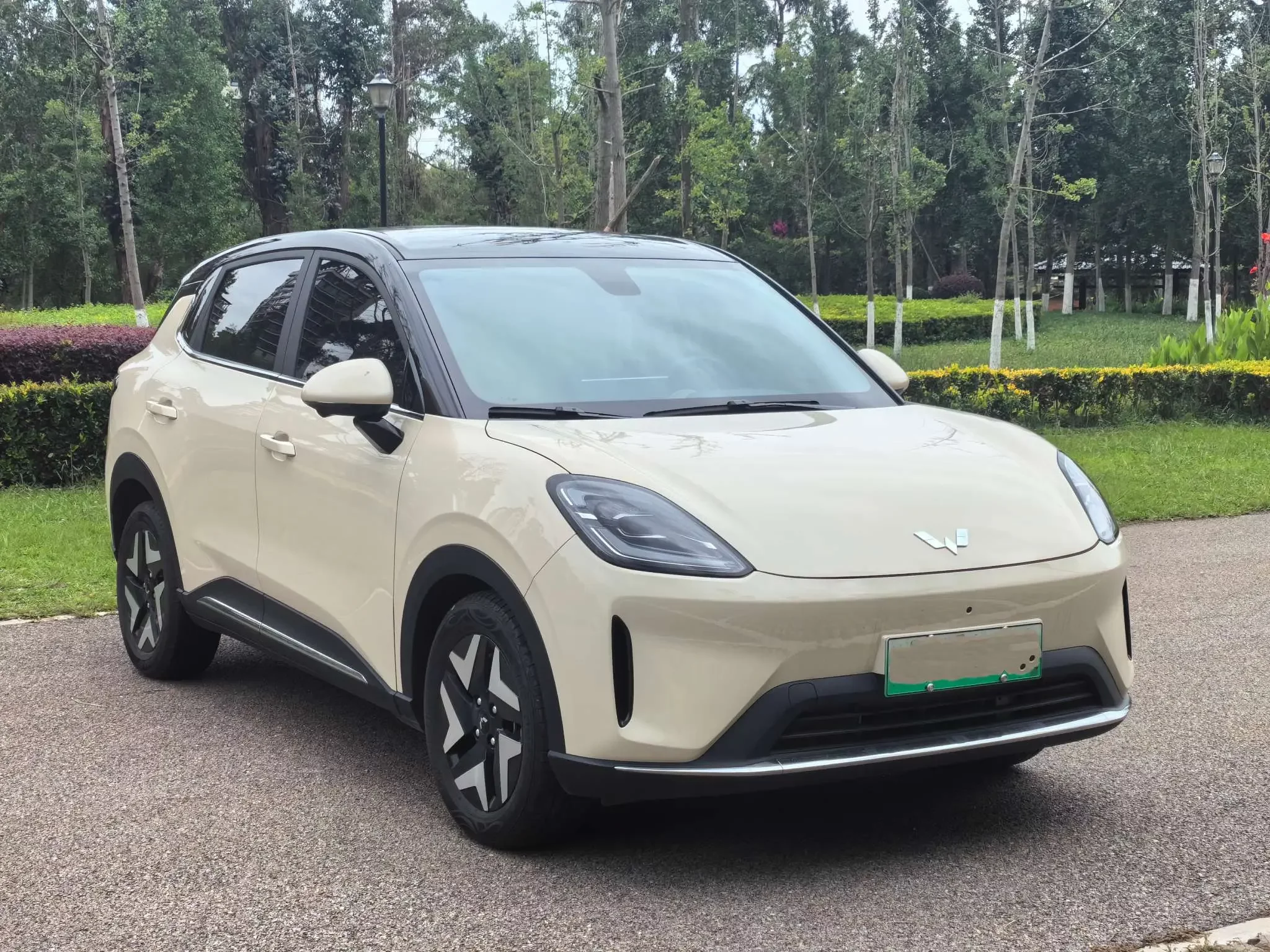 Wuling Bingo S