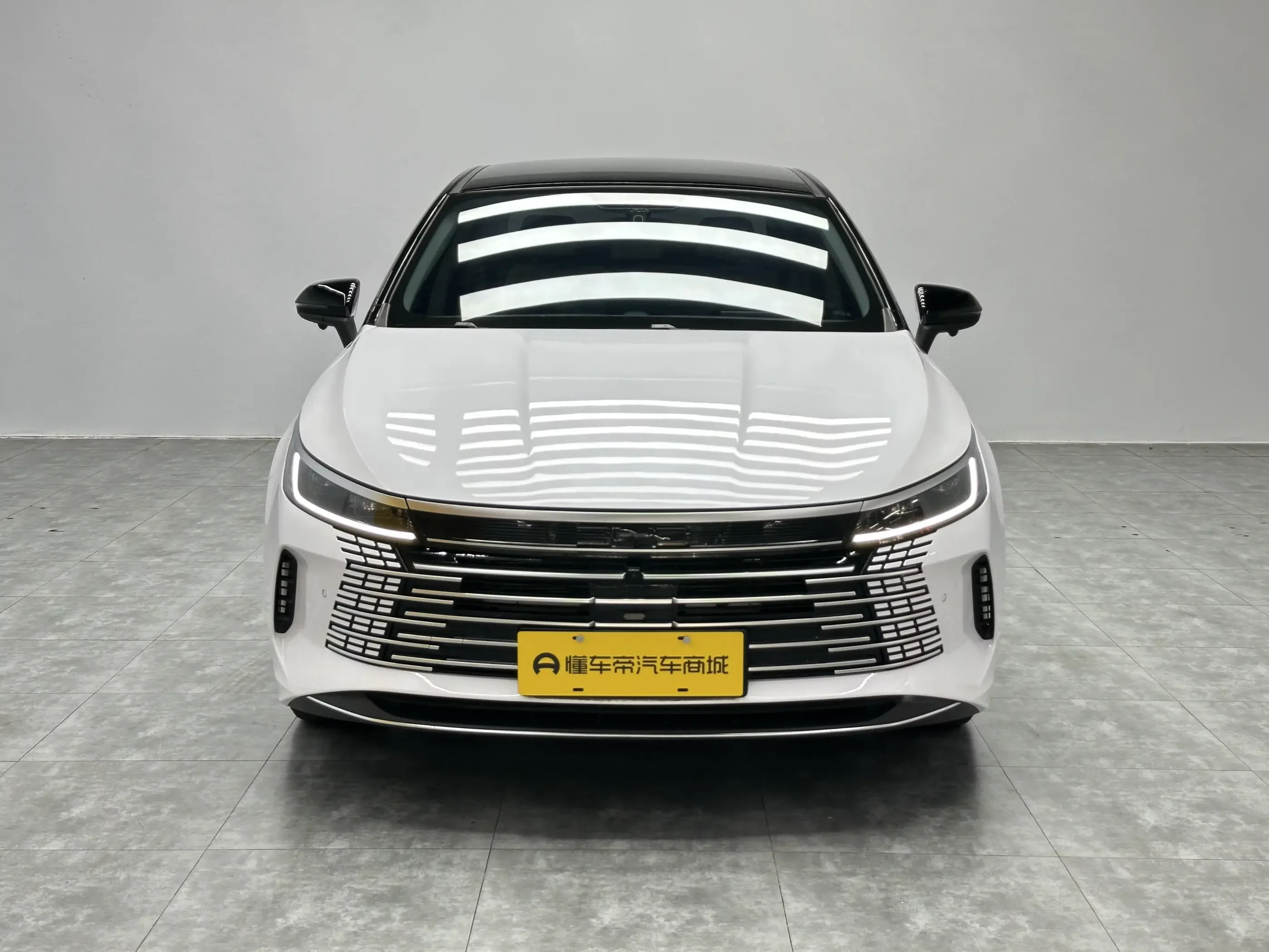 BYD Destroyer 05