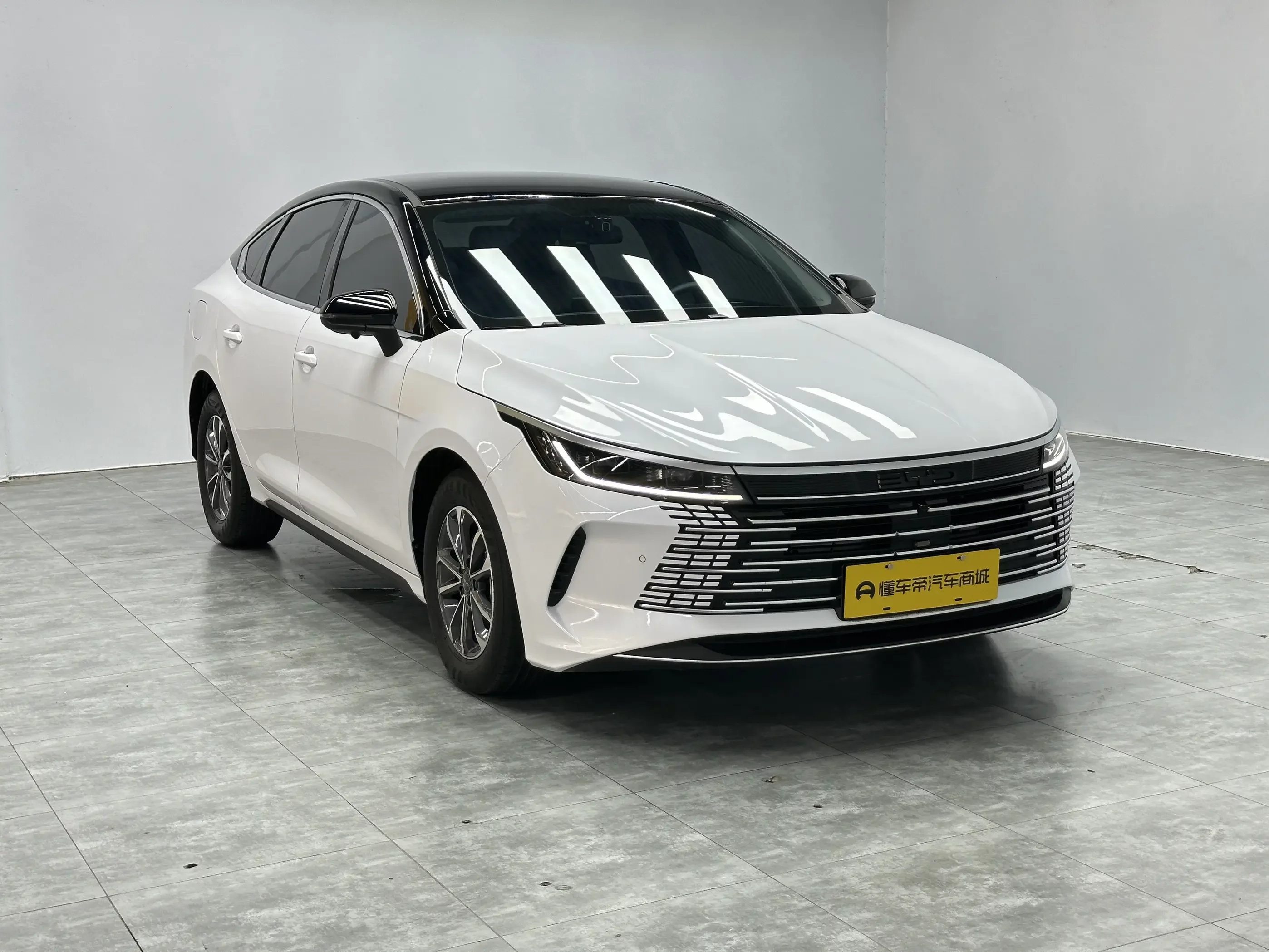 BYD Destroyer 05