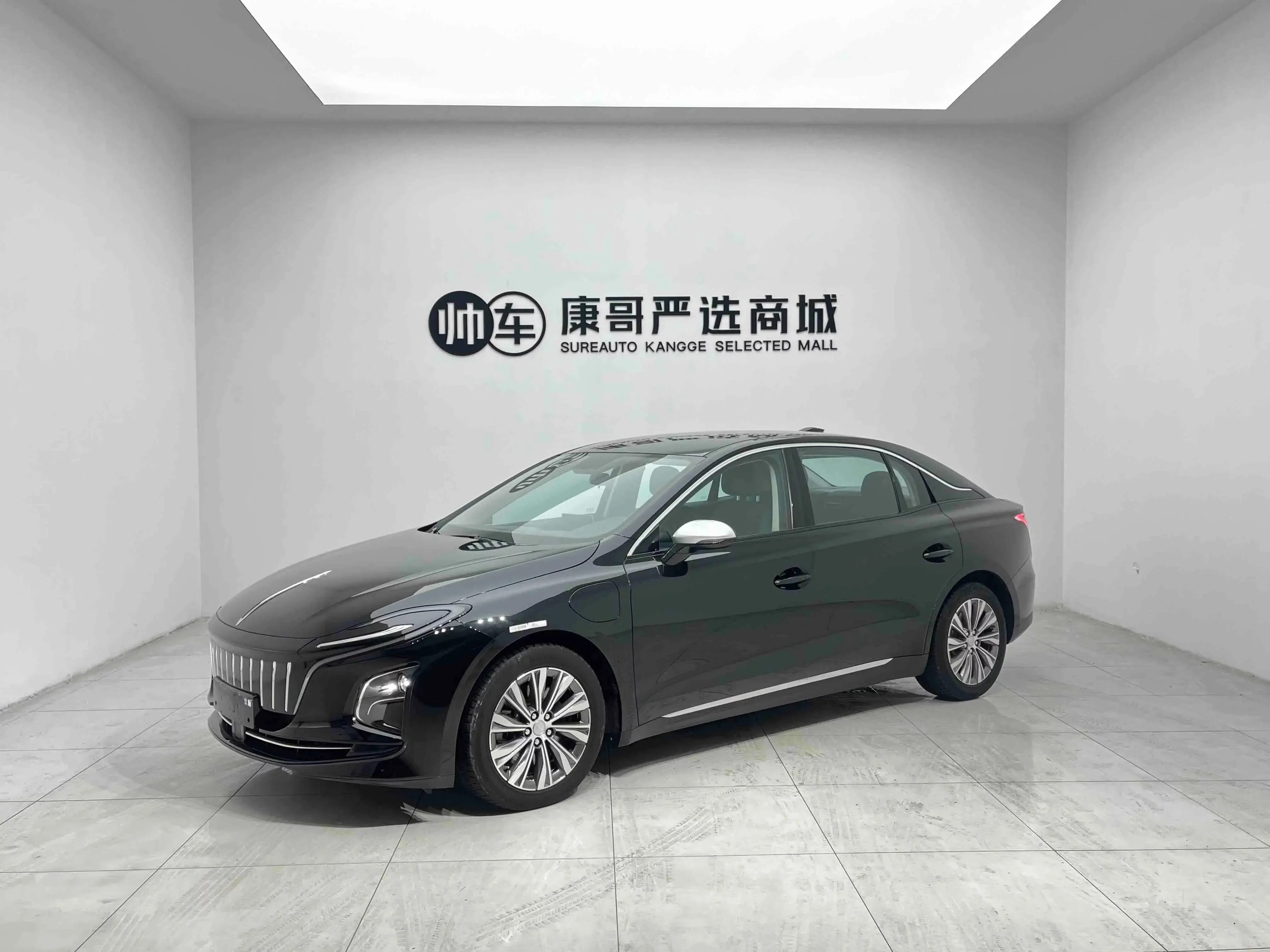 Hongqi E-QM5