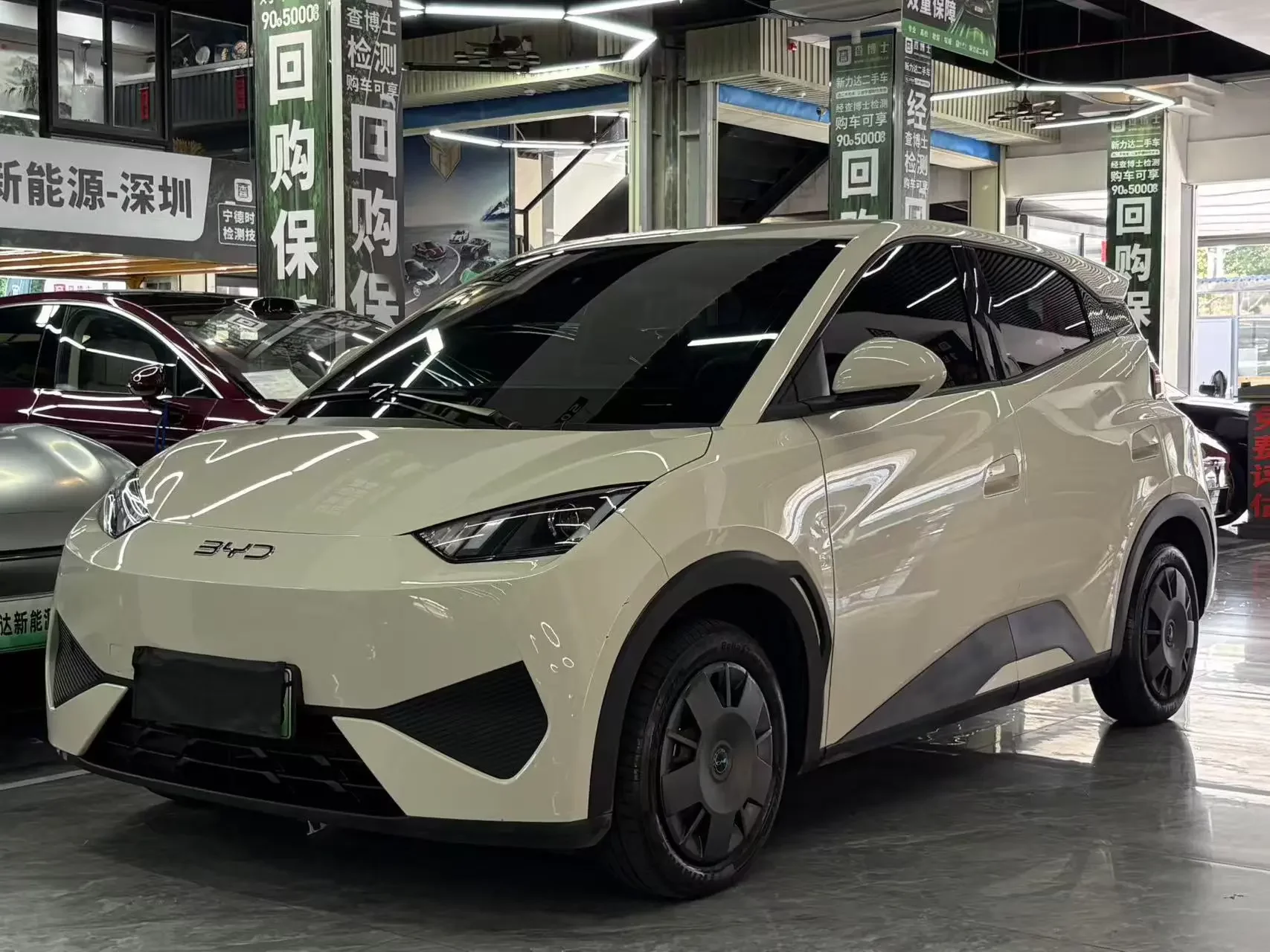 BYD seagull