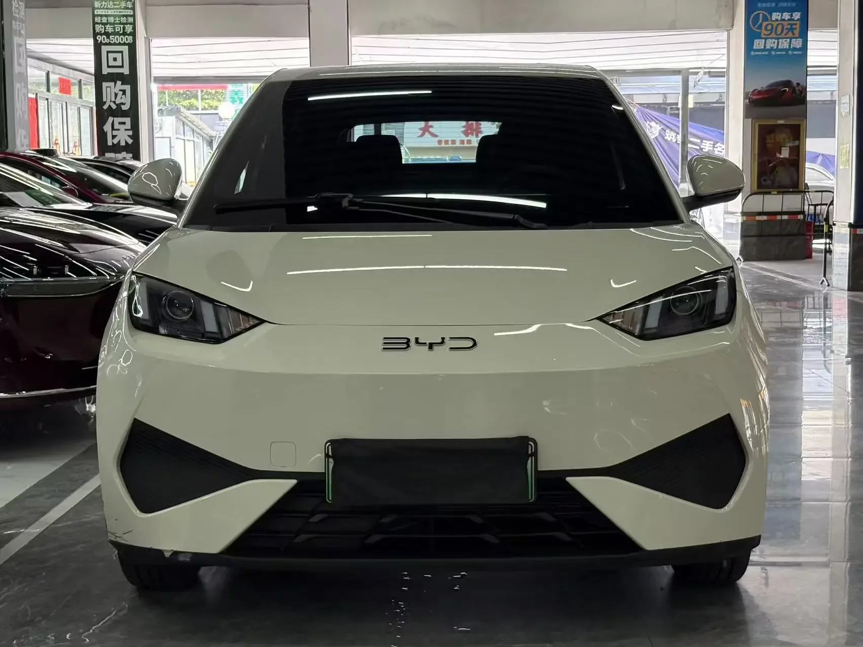 BYD seagull