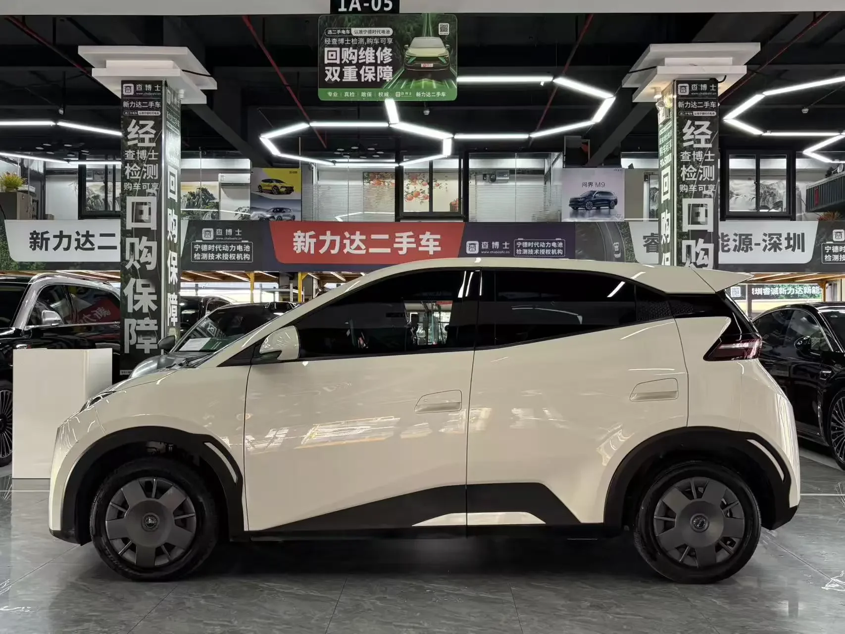 BYD seagull