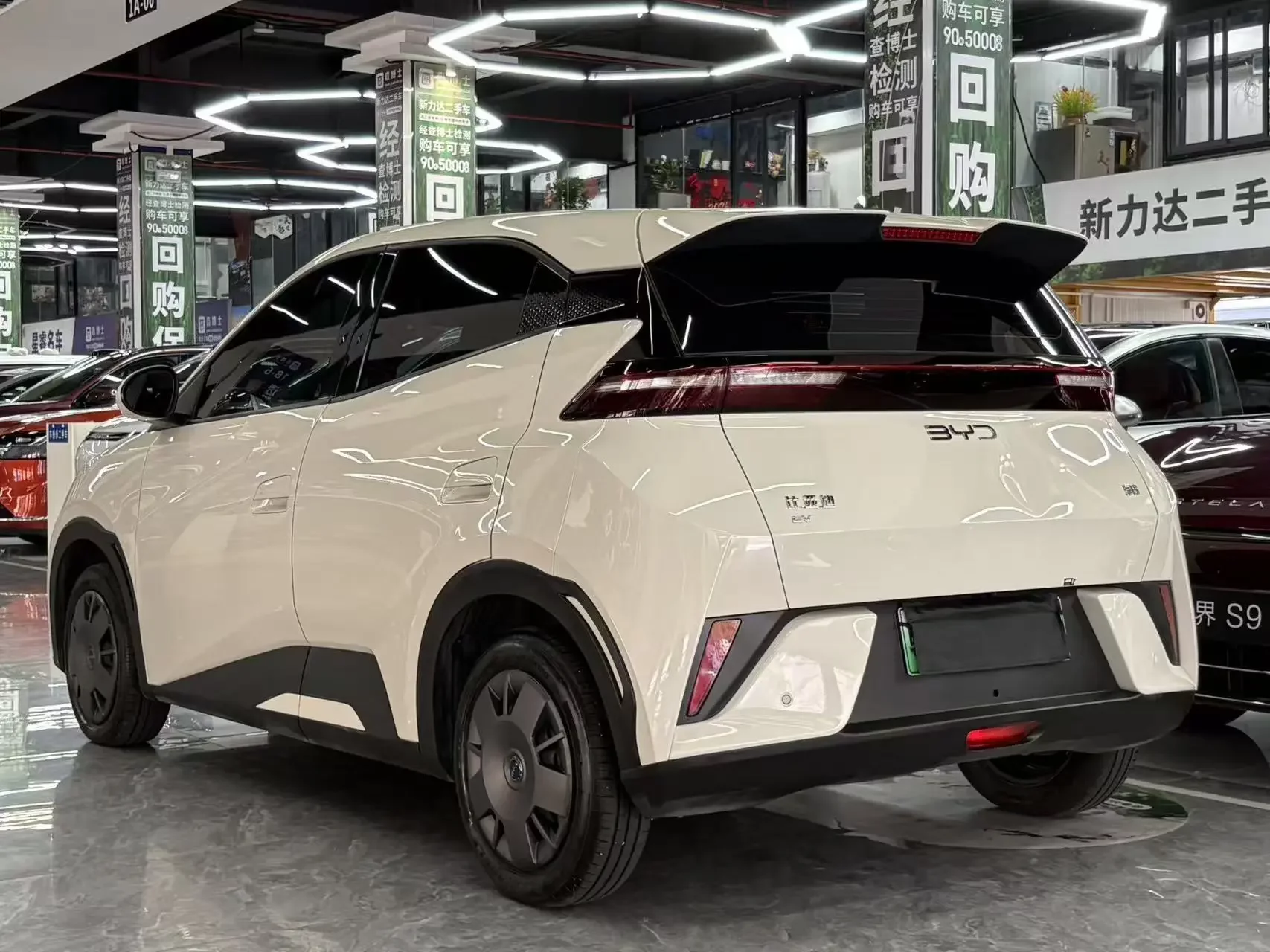 BYD seagull