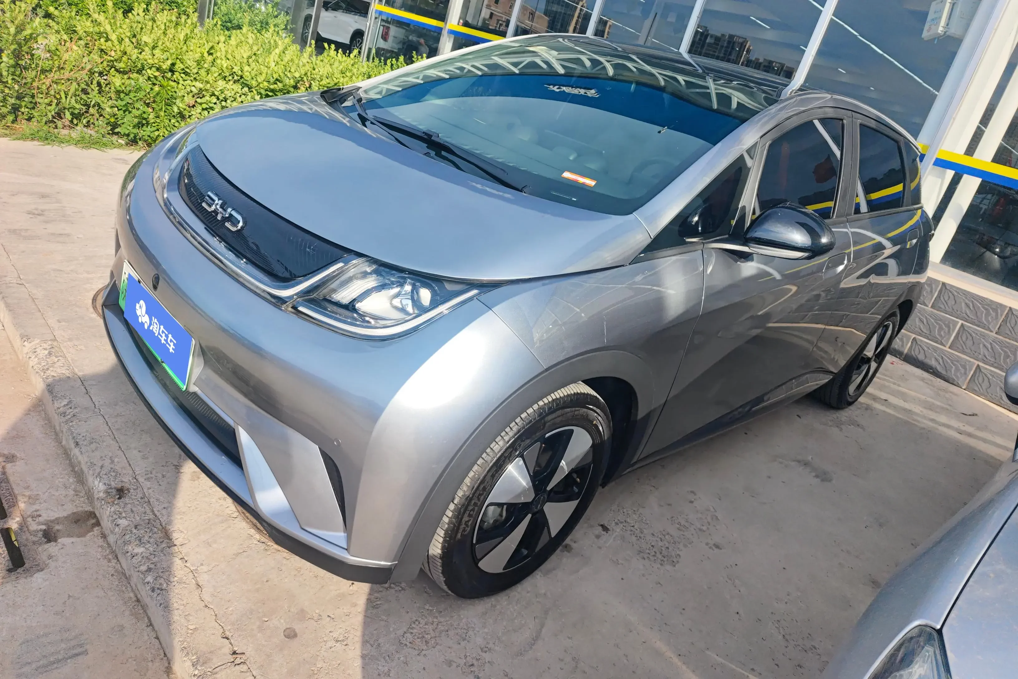 BYD dolphin