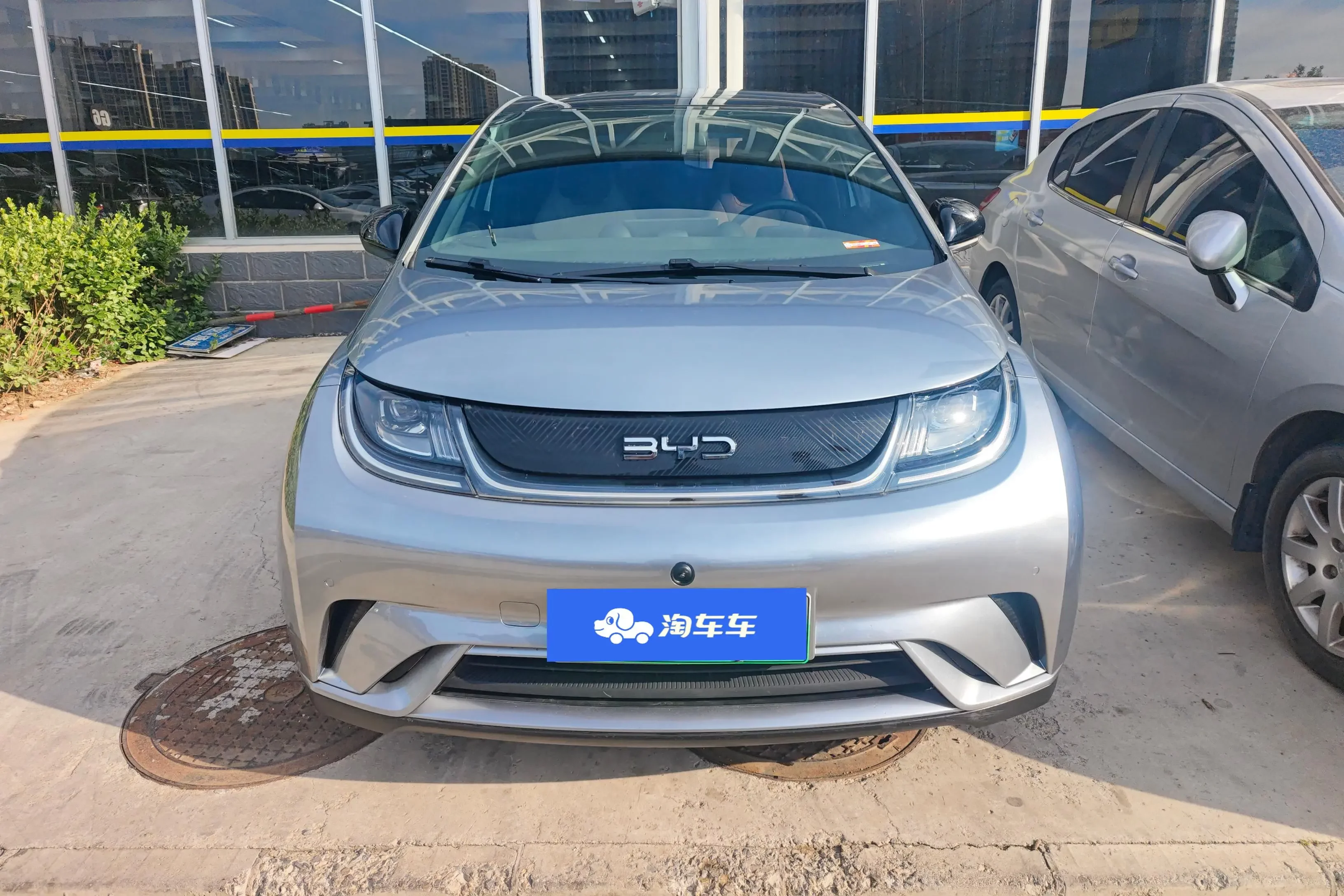 BYD dolphin