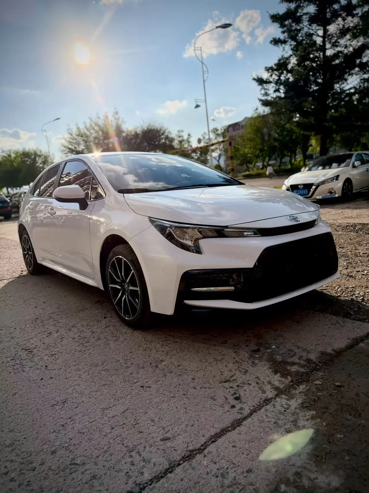 Toyota Levin