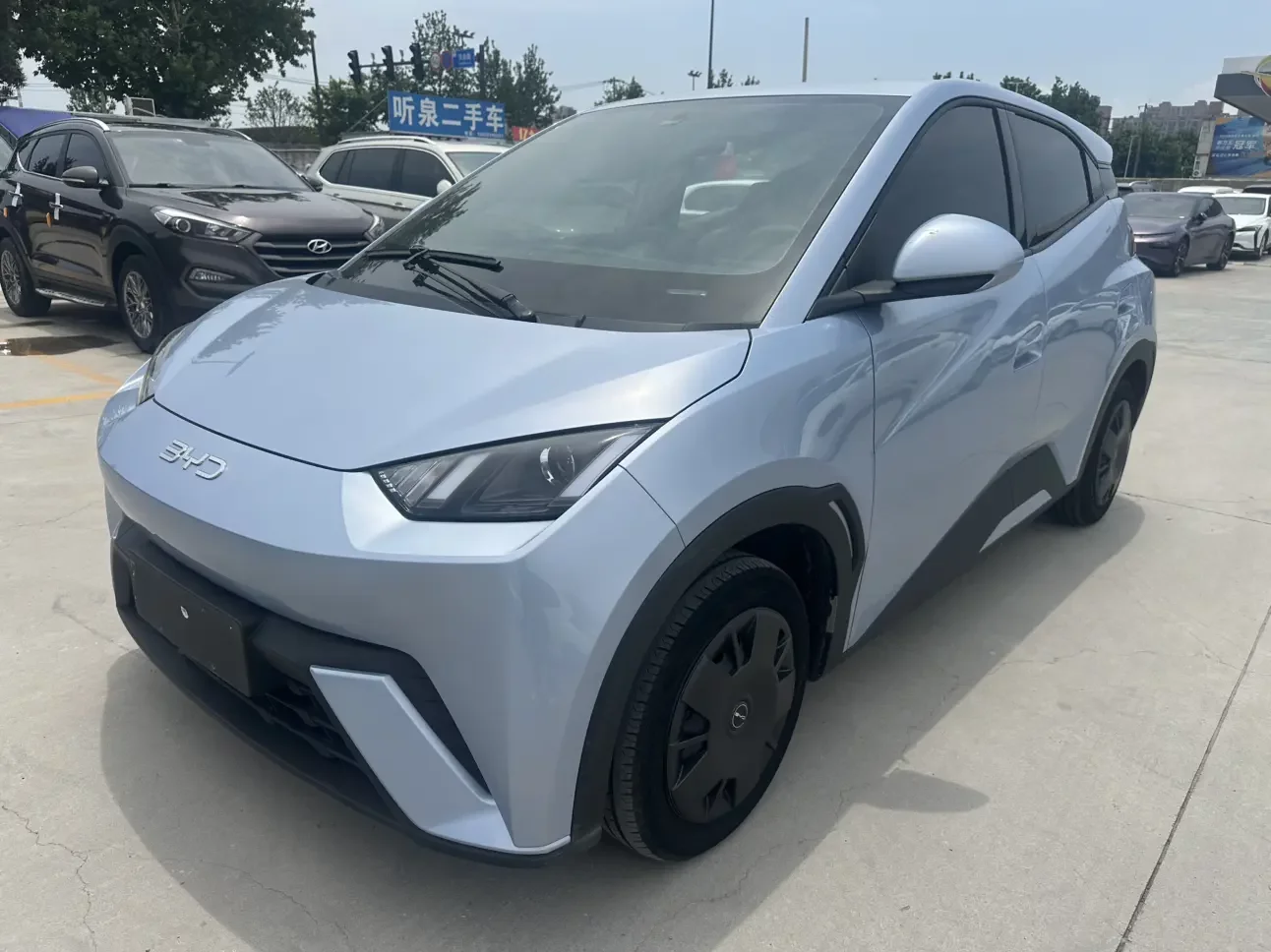 BYD seagull