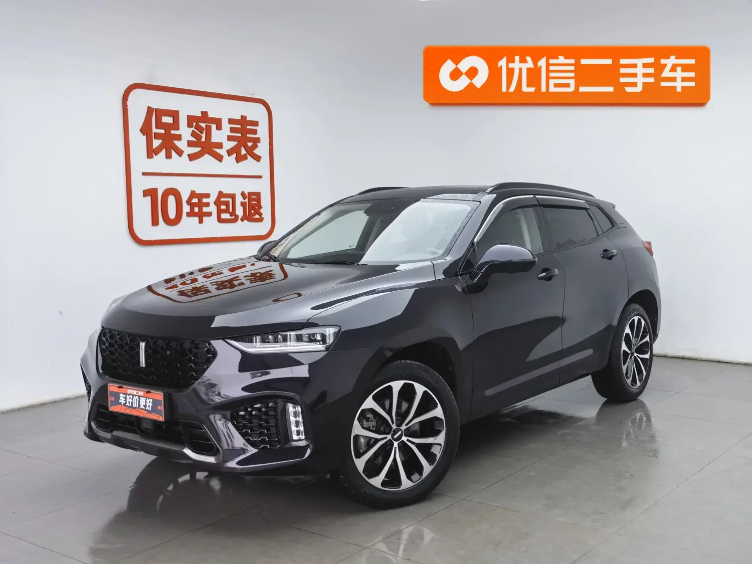 Wey Wei brand VV7