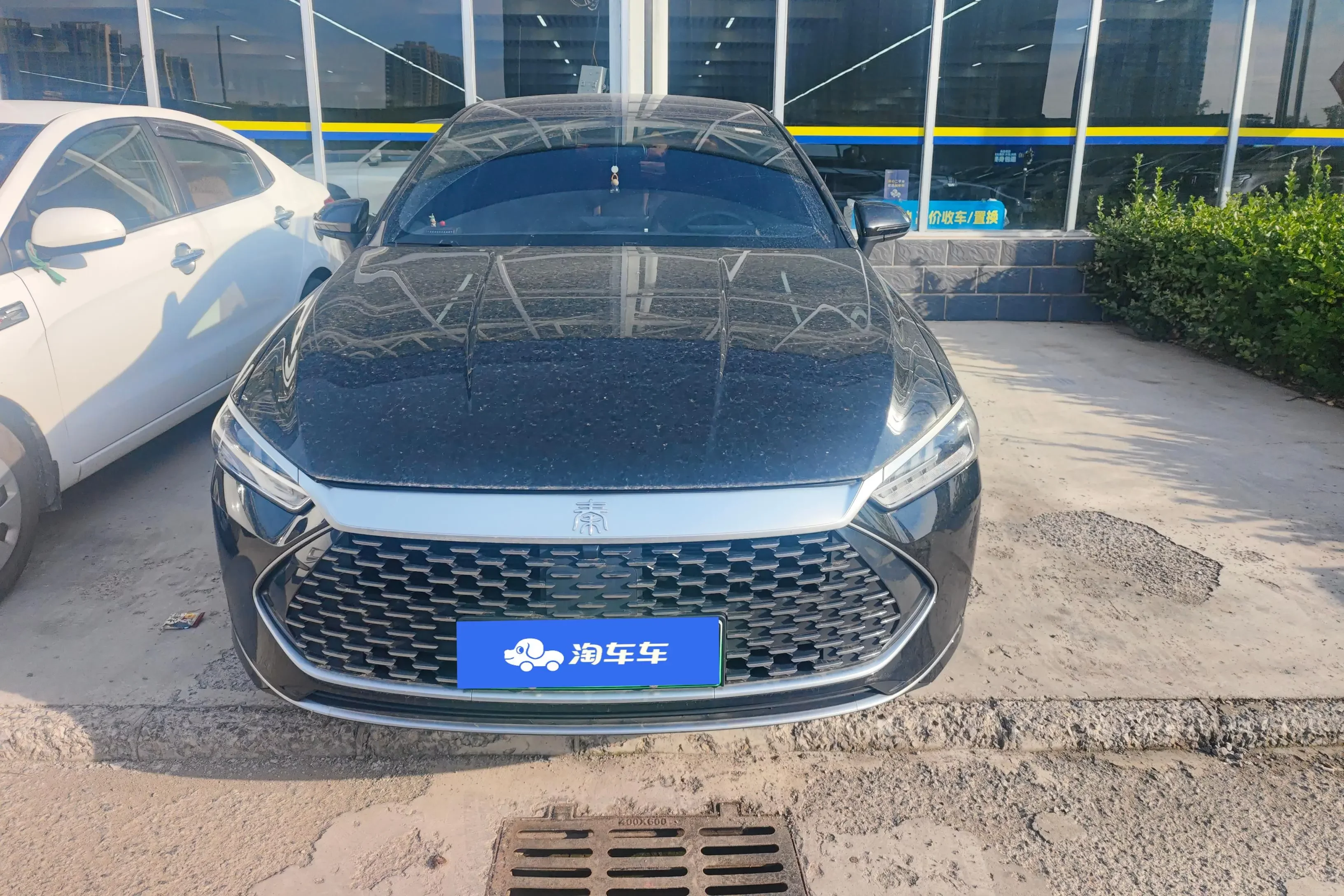 BYD Qin PLUS DM