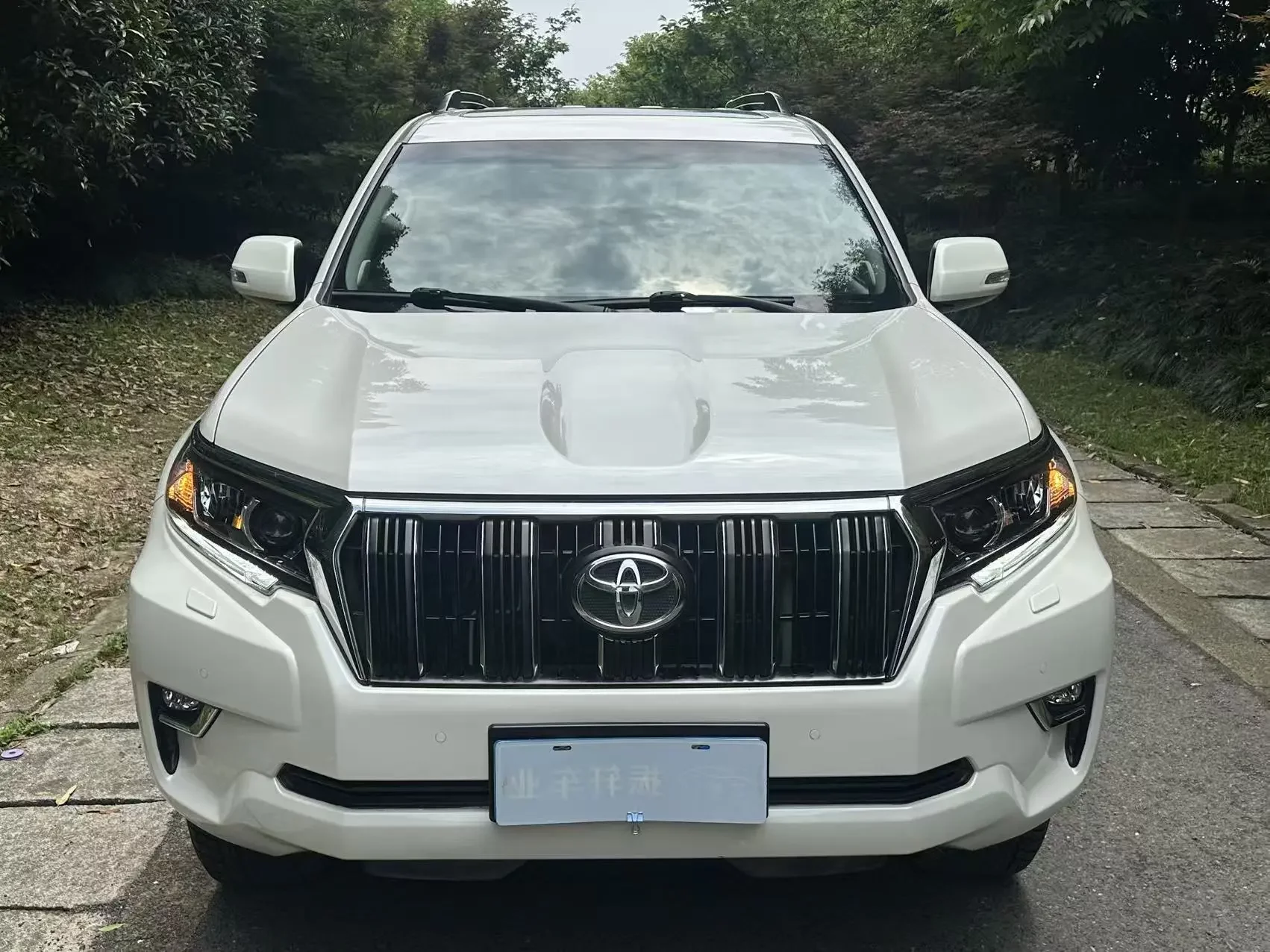 Toyota prado