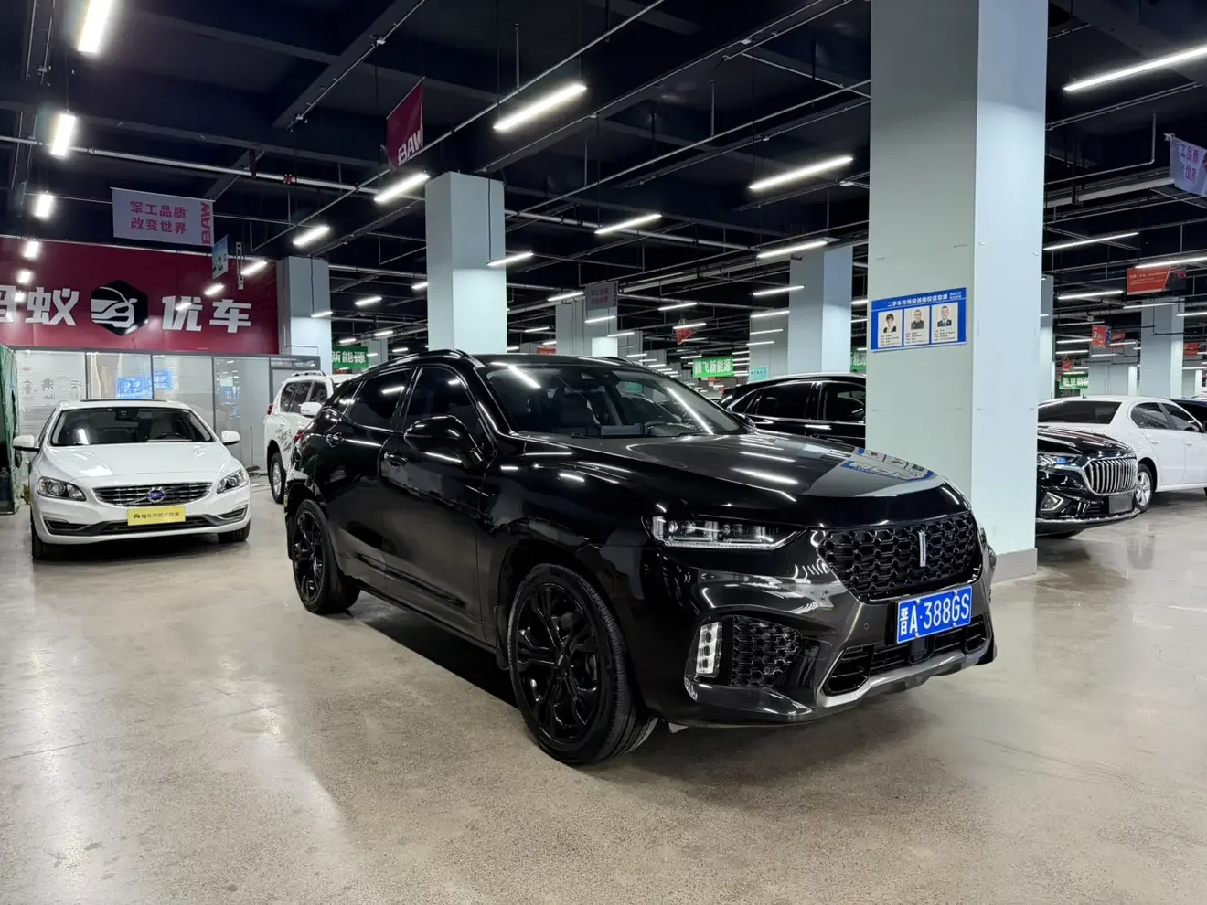 Wey Wei brand VV7