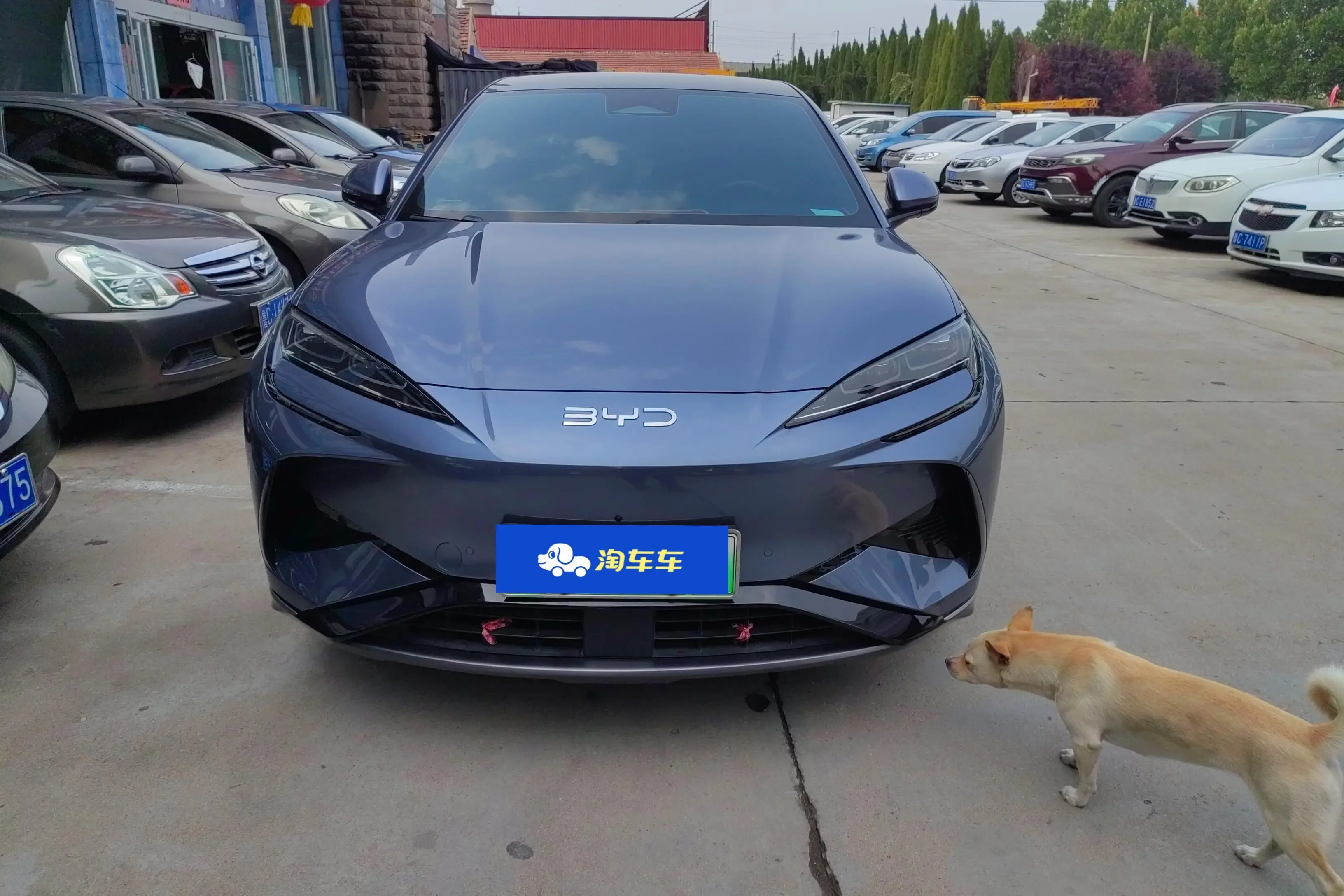 BYD Sea Lion 07EV
