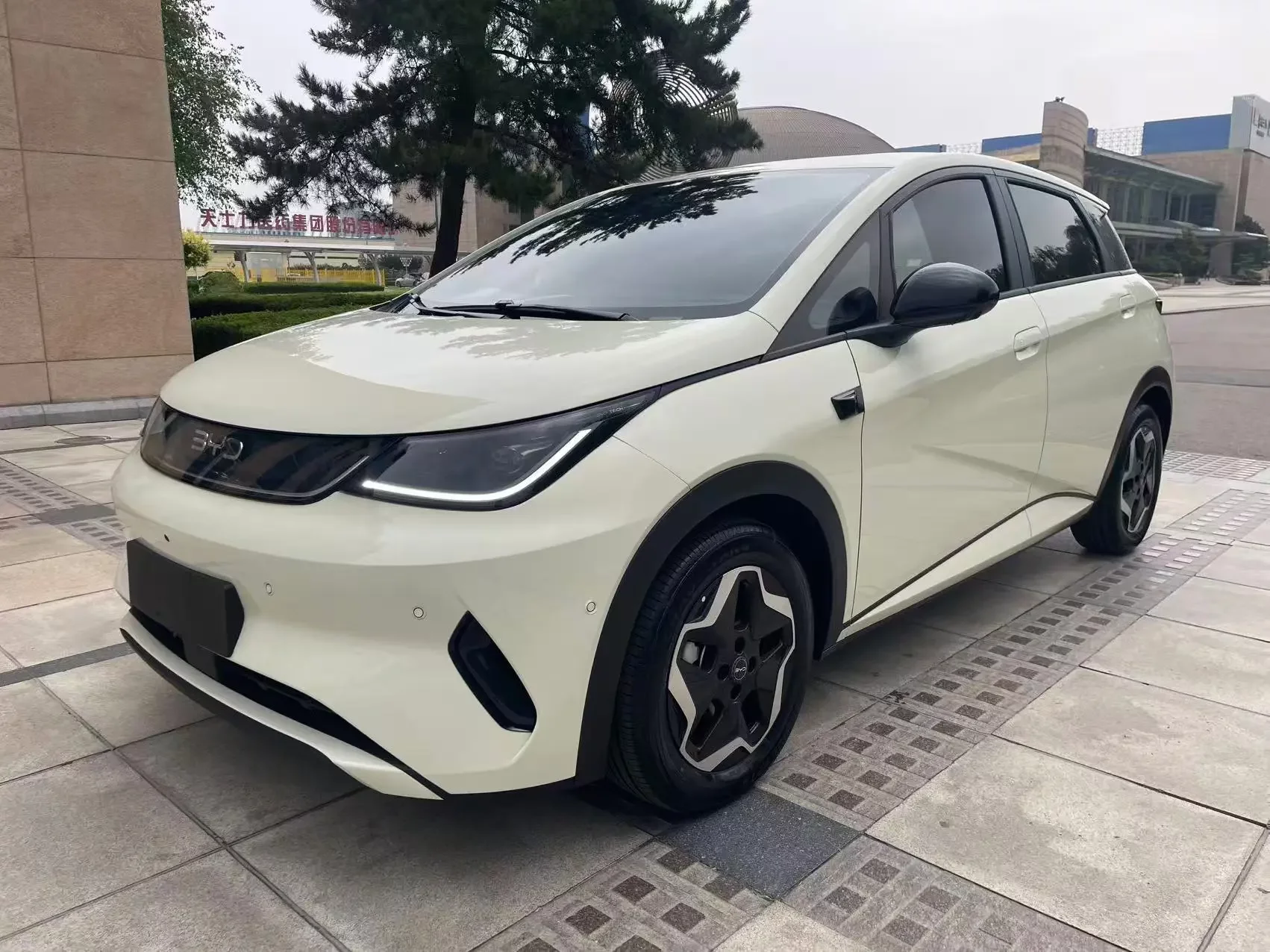 BYD dolphin