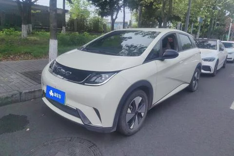 BYD dolphin