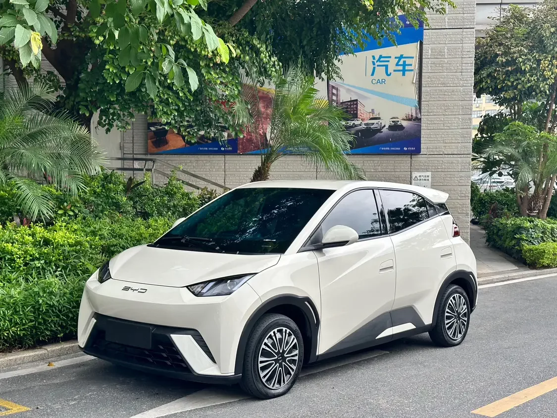 BYD seagull