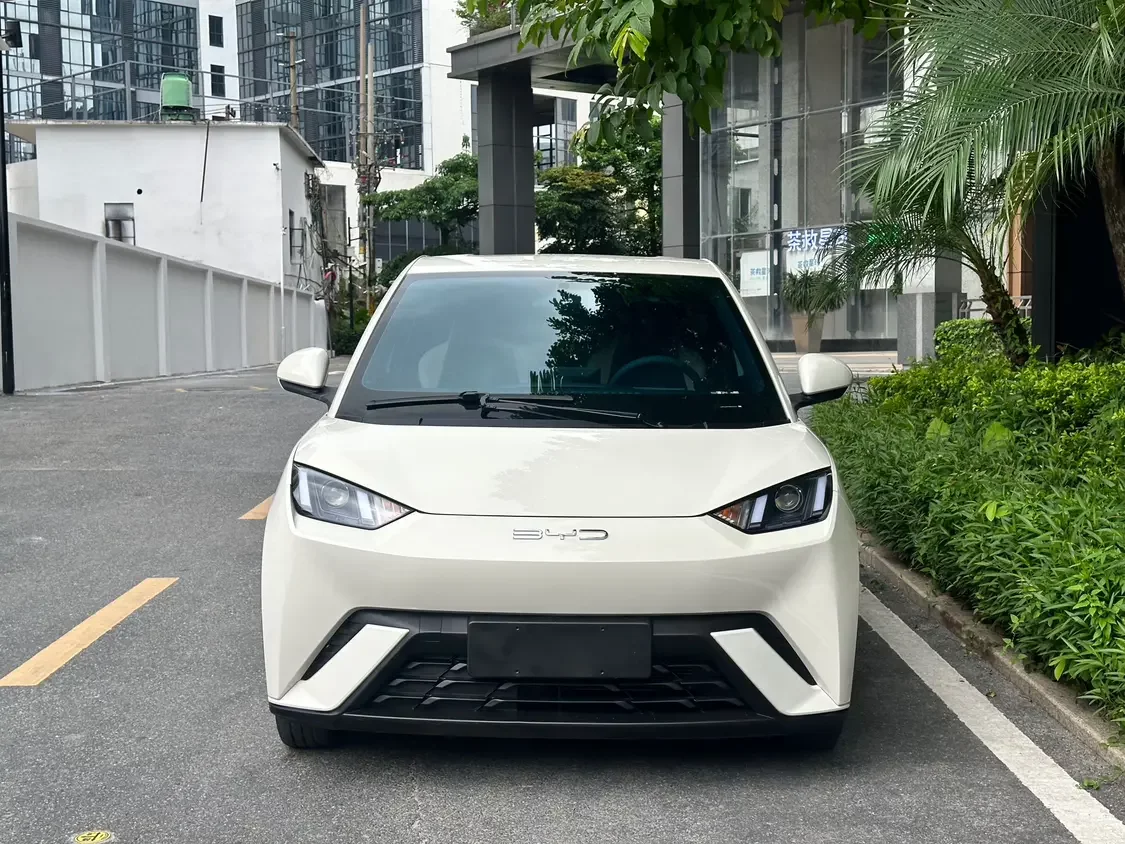 BYD seagull