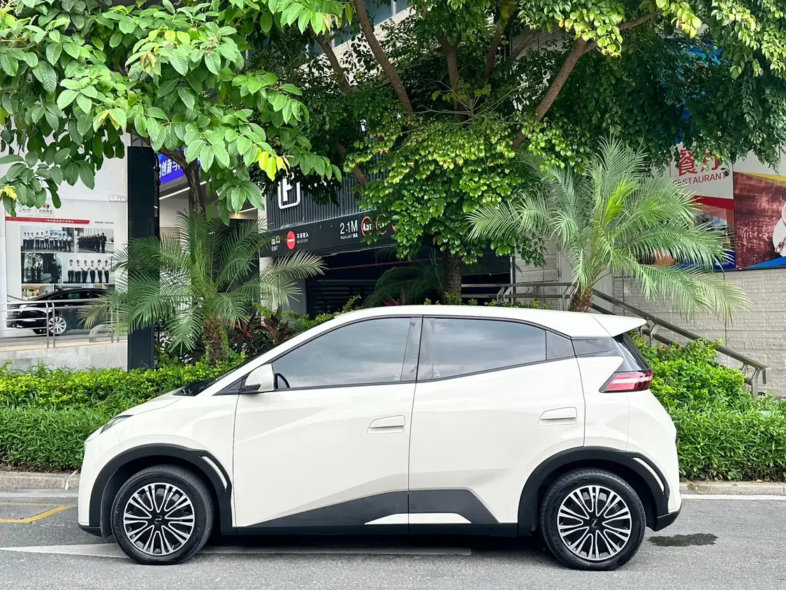 BYD seagull