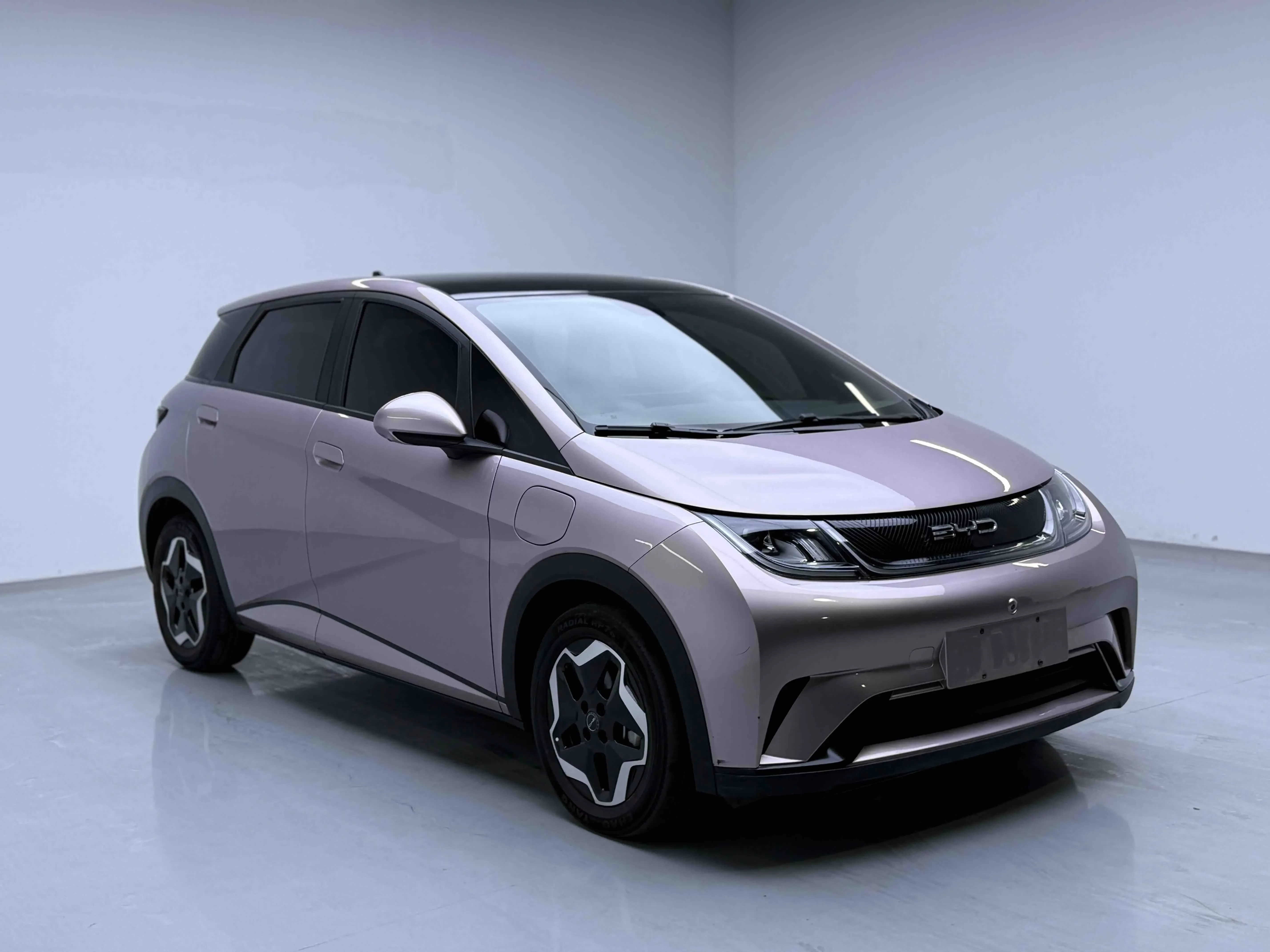 BYD dolphin