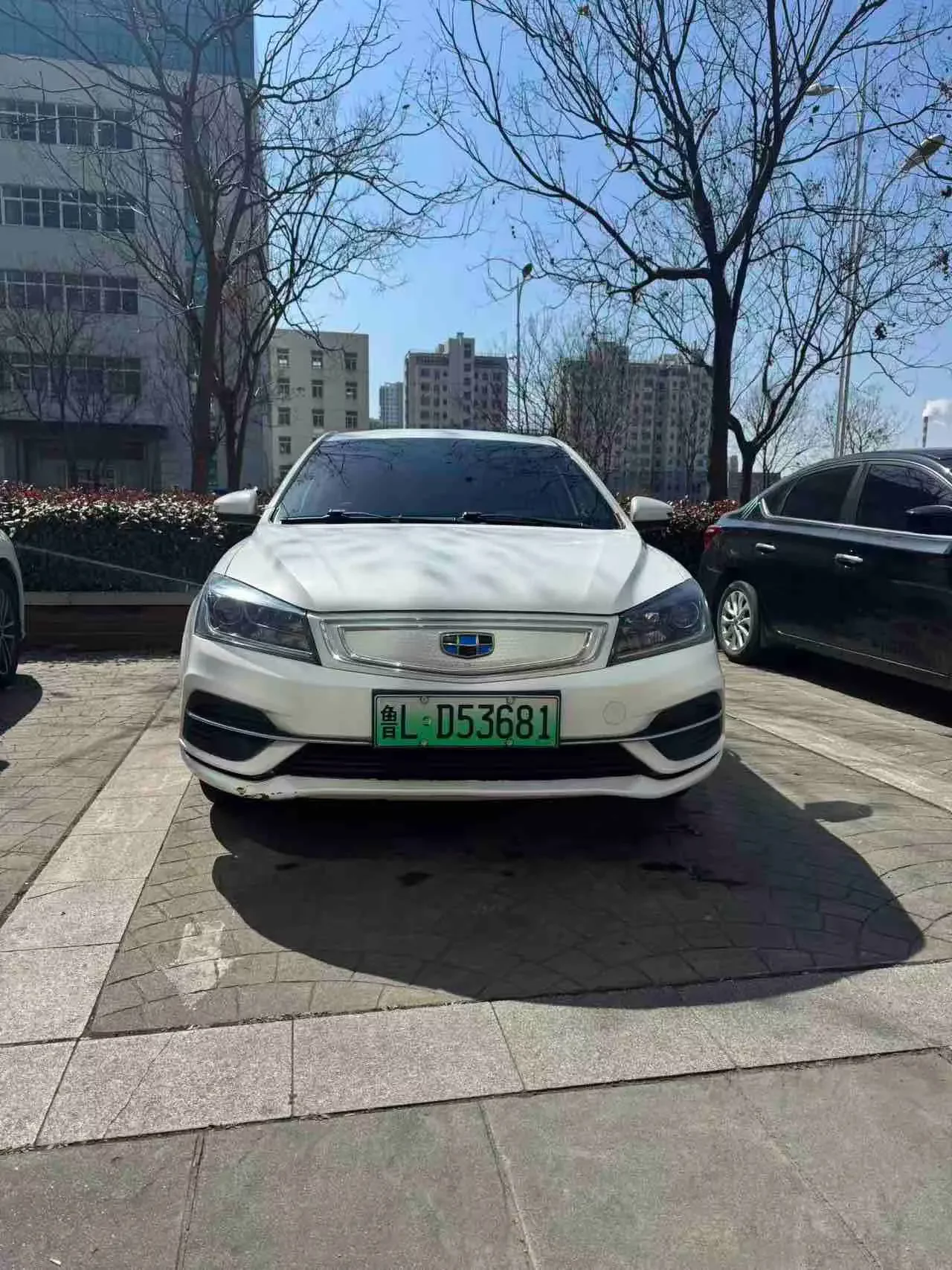 Geely Emgrand EV