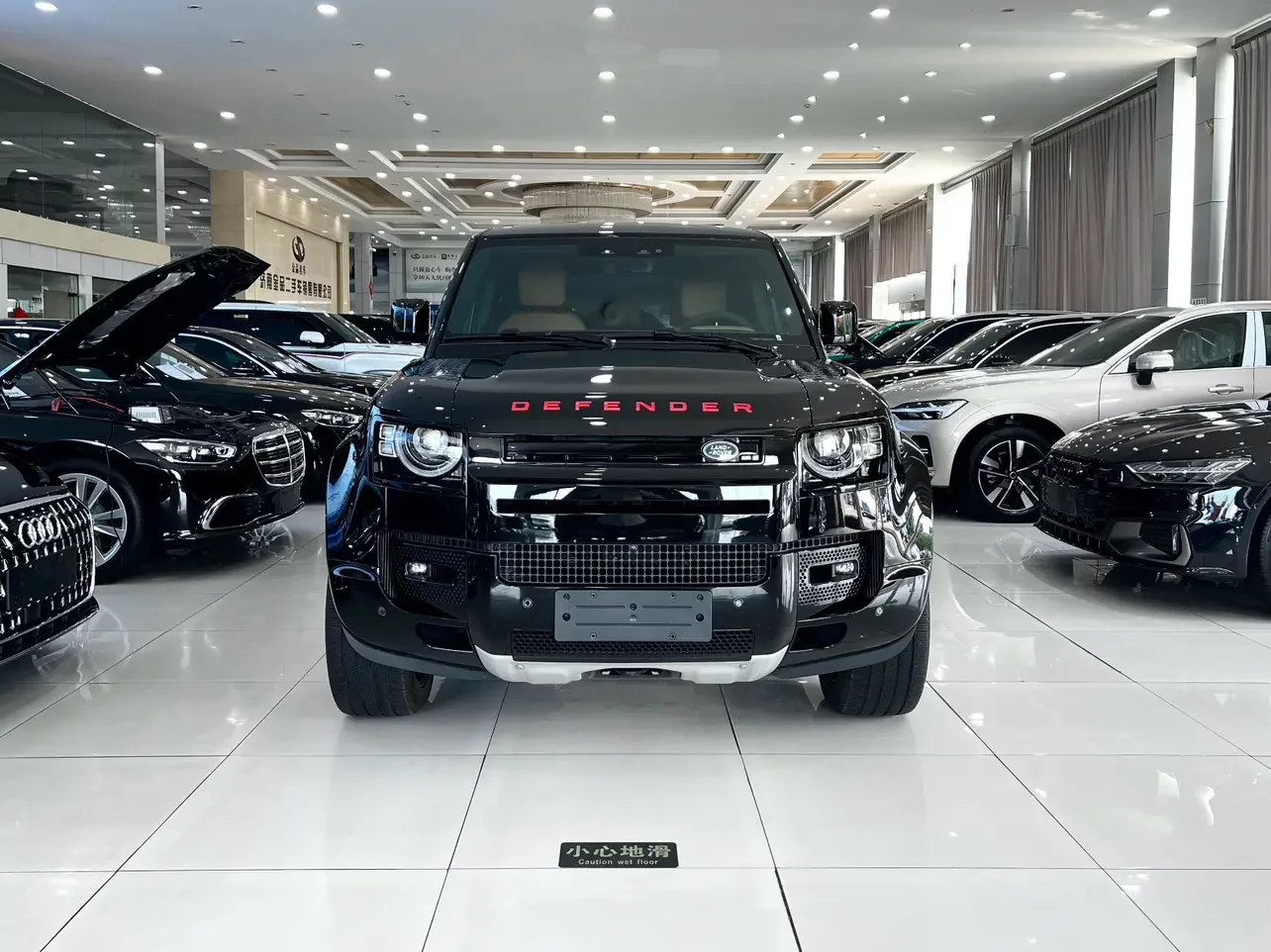 Land Rover guard