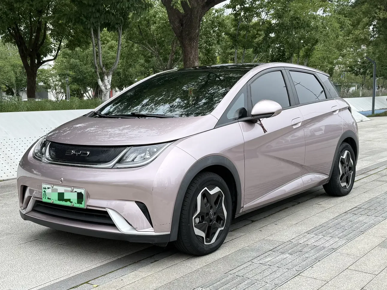 BYD dolphin